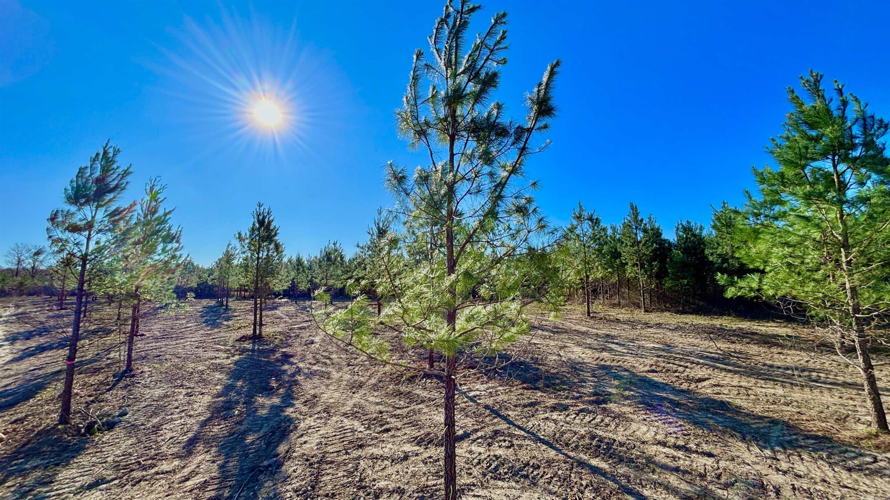 Tract 18 Avalon Lake Lane Property Photo 8