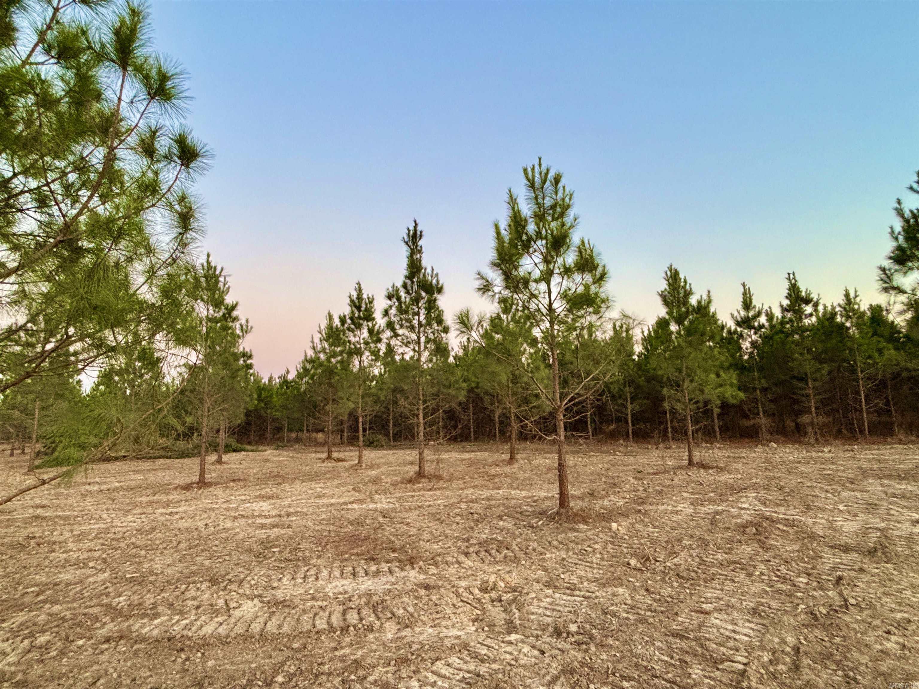 Tract 18 Avalon Lake Lane Property Photo 9