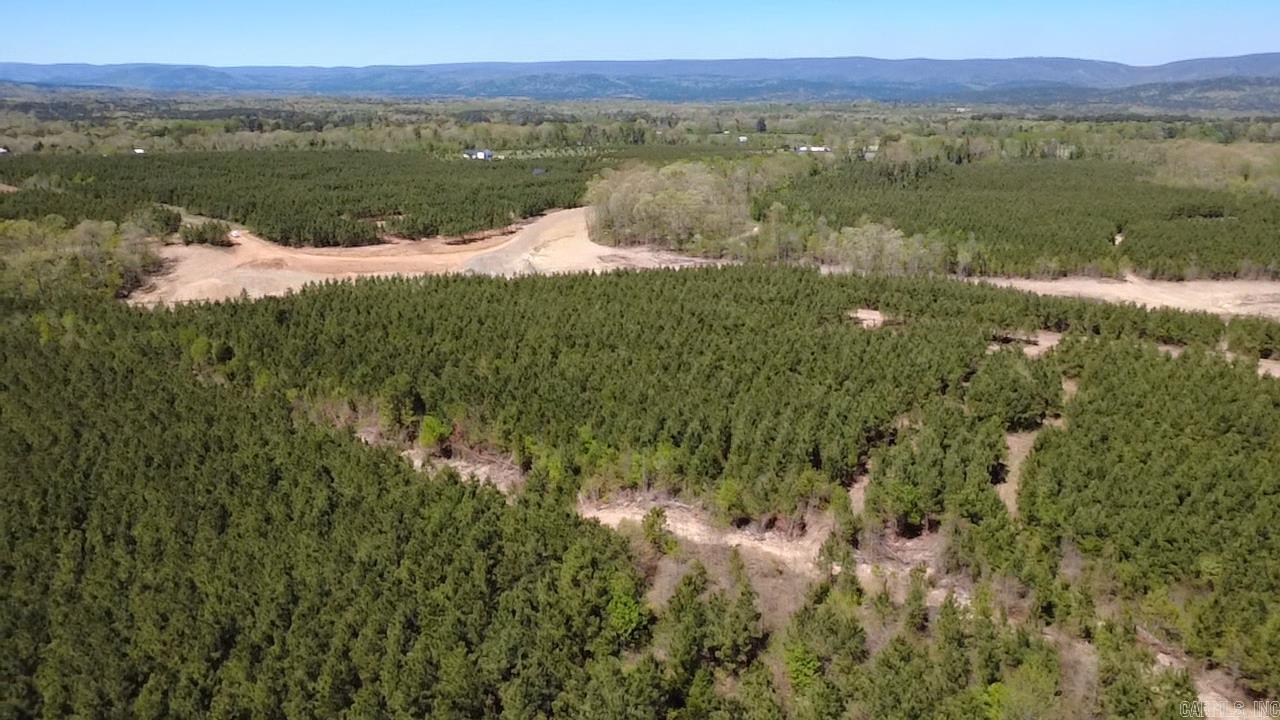 Tract 18 Avalon Lake Lane Property Photo 19