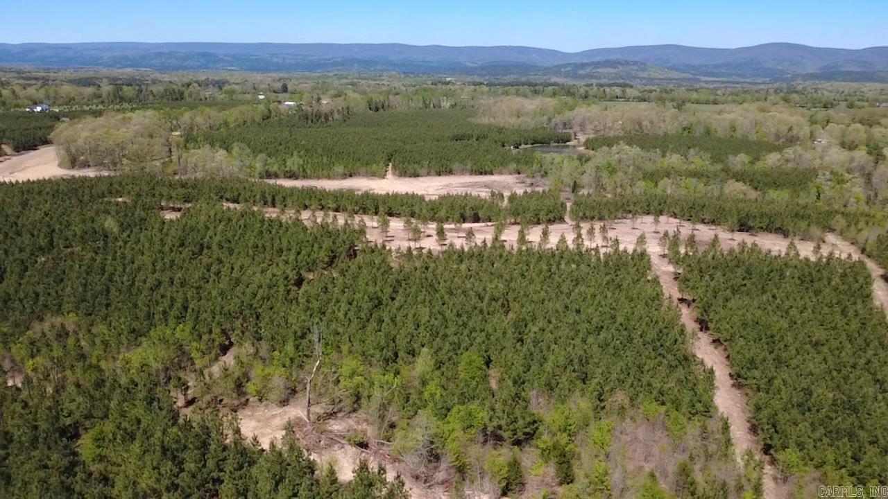 Tract 18 Avalon Lake Lane Property Photo 22