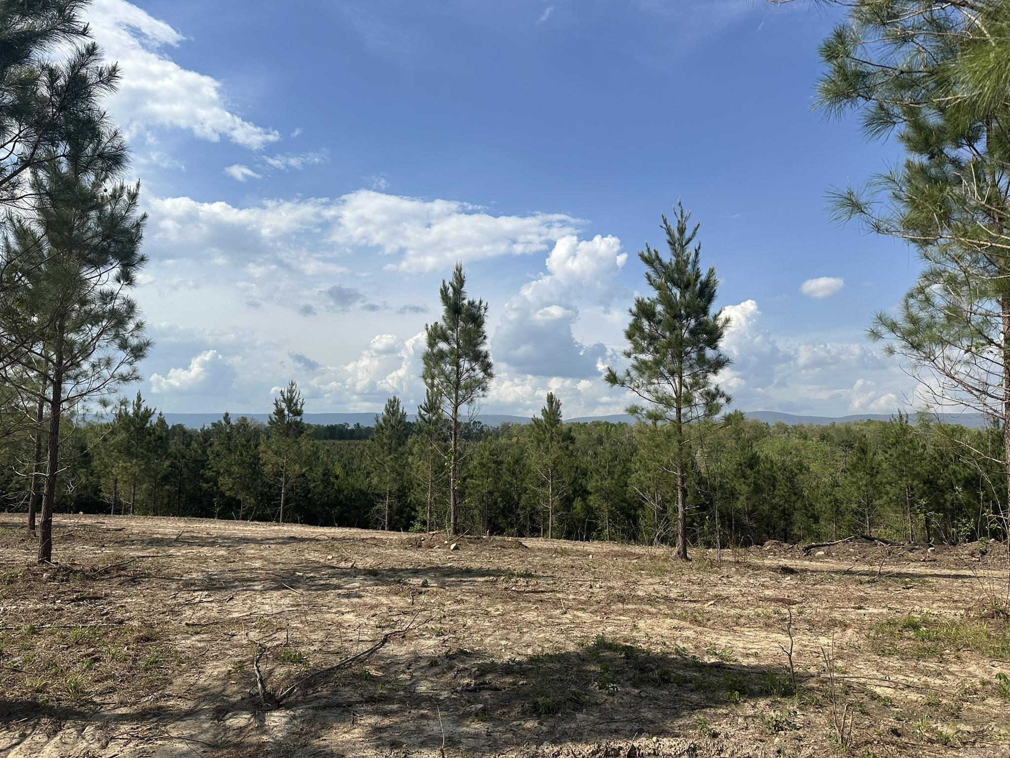 Tract 19 Avalon Lake Lane Property Photo 5