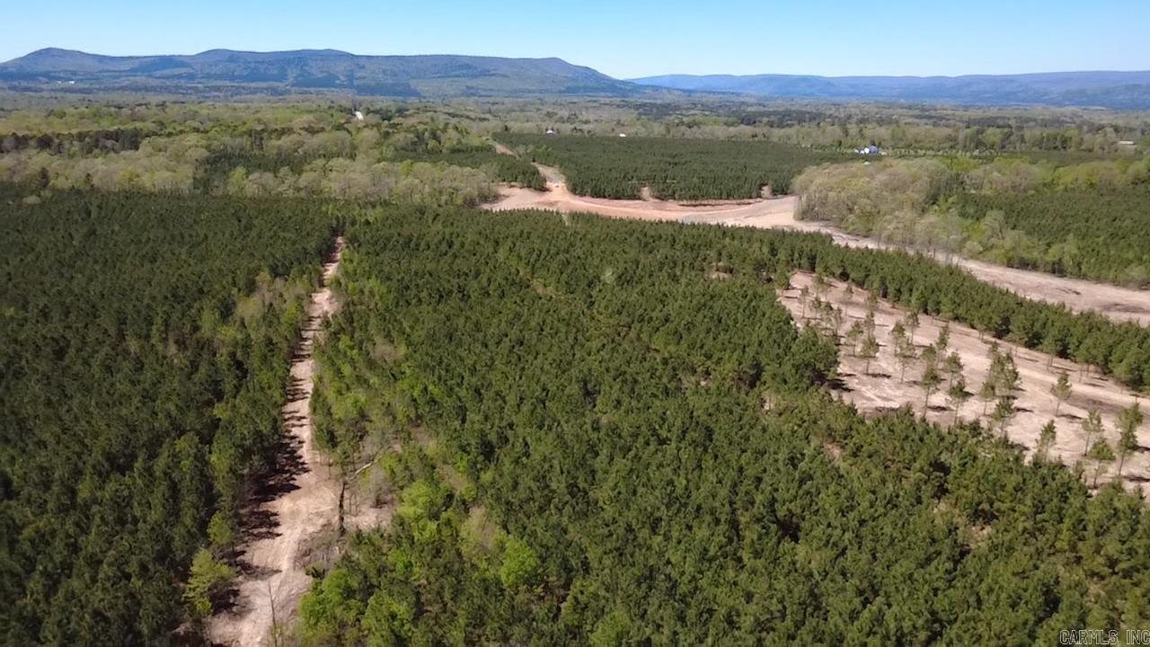 Tract 19 Avalon Lake Lane Property Photo 18