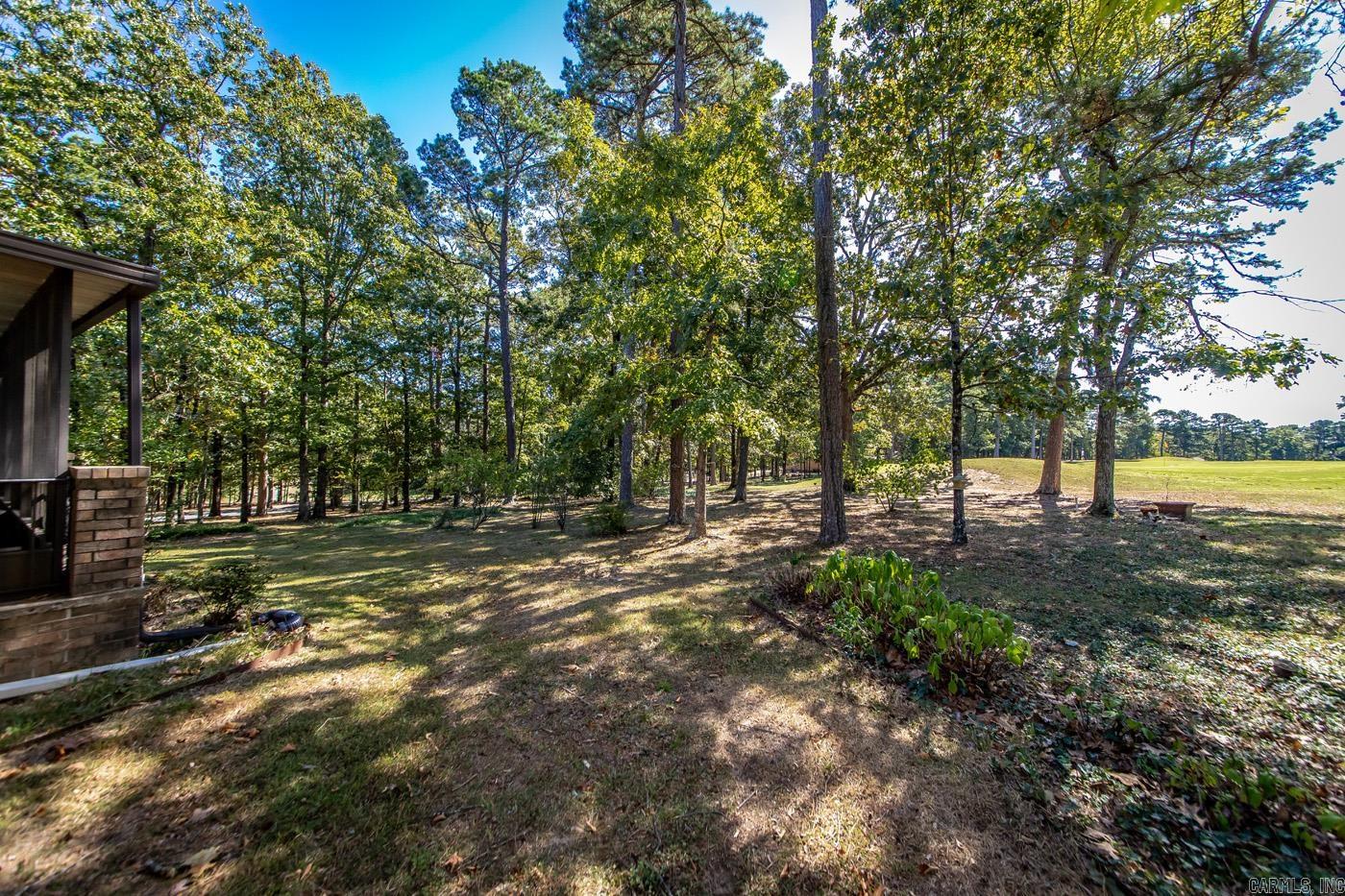 233 Snead Drive Property Photo 37
