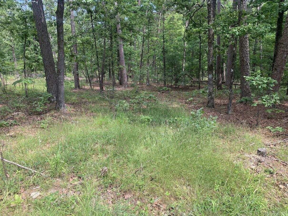 Cima Way Property Photo 1