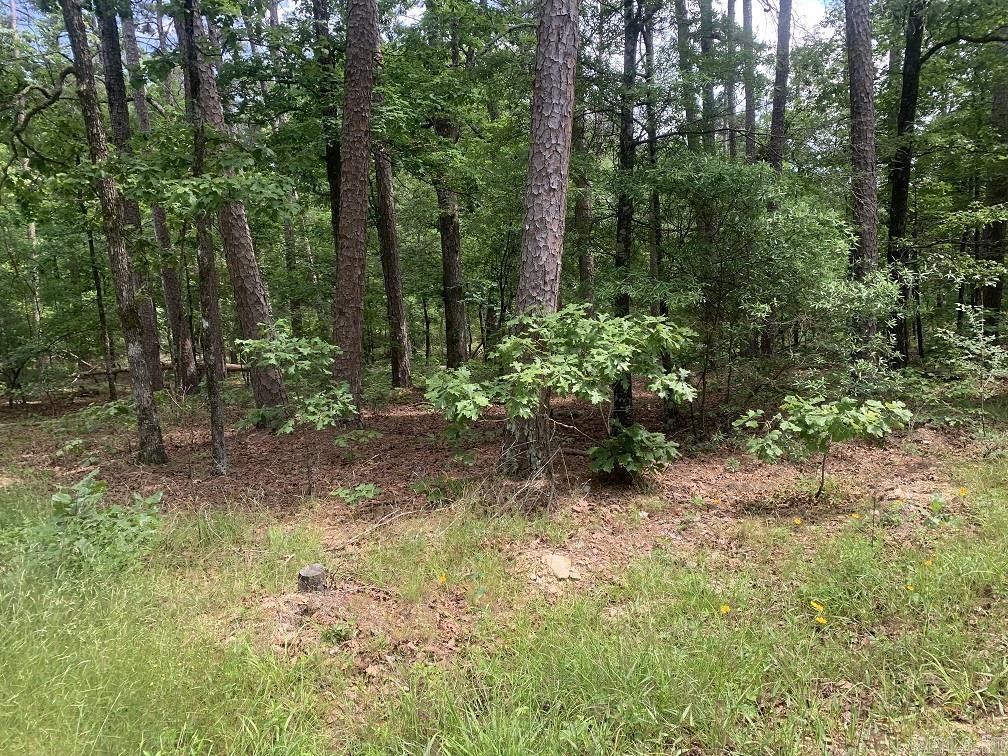 Cima Way Property Photo 7