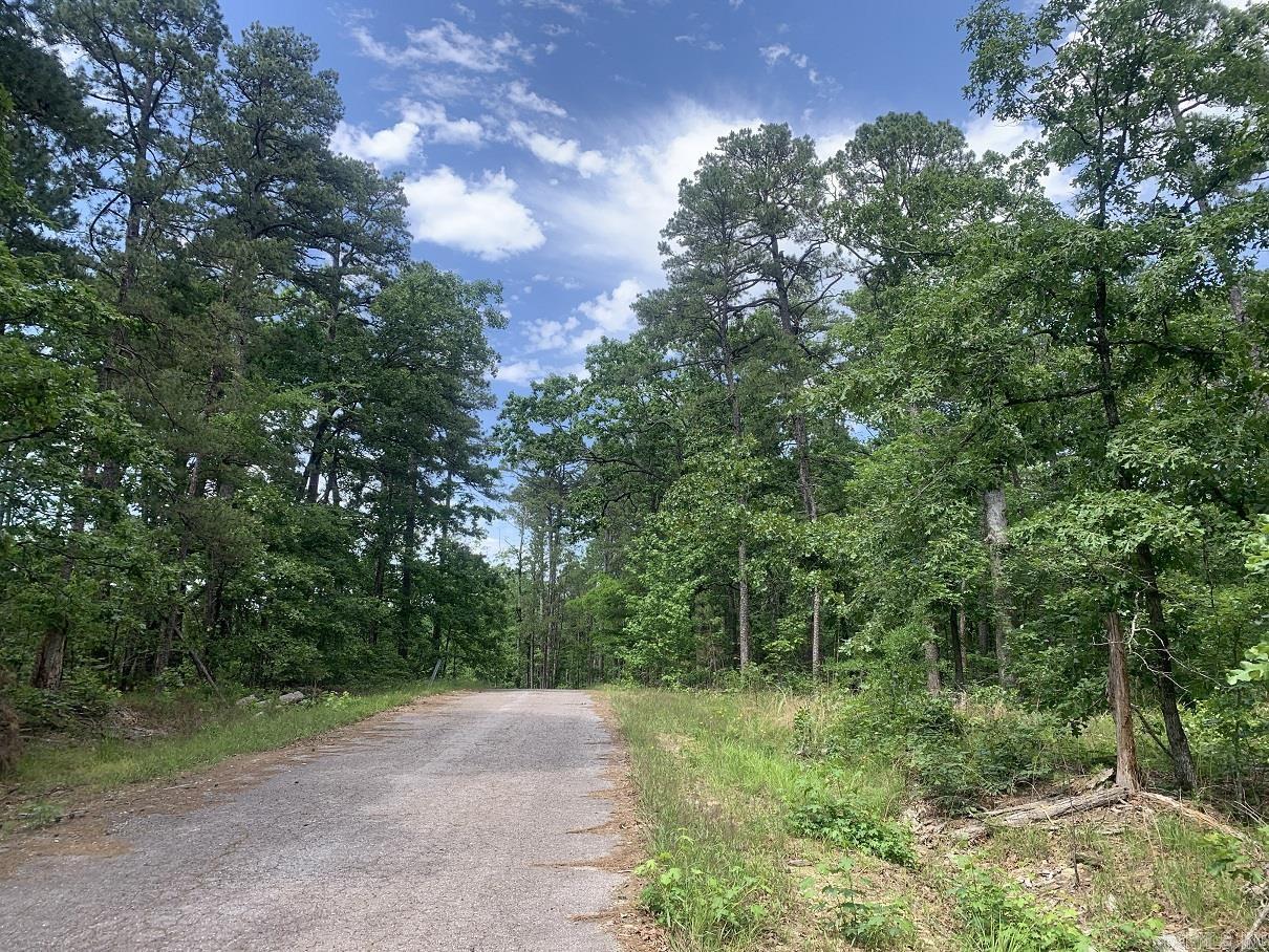 Cima Way Property Photo 10