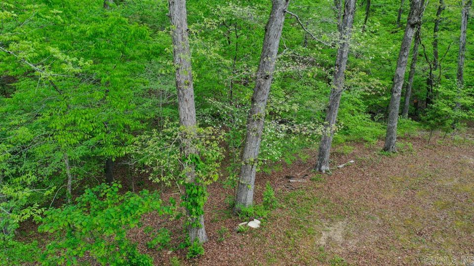 181 Bearce Circle Property Photo 3