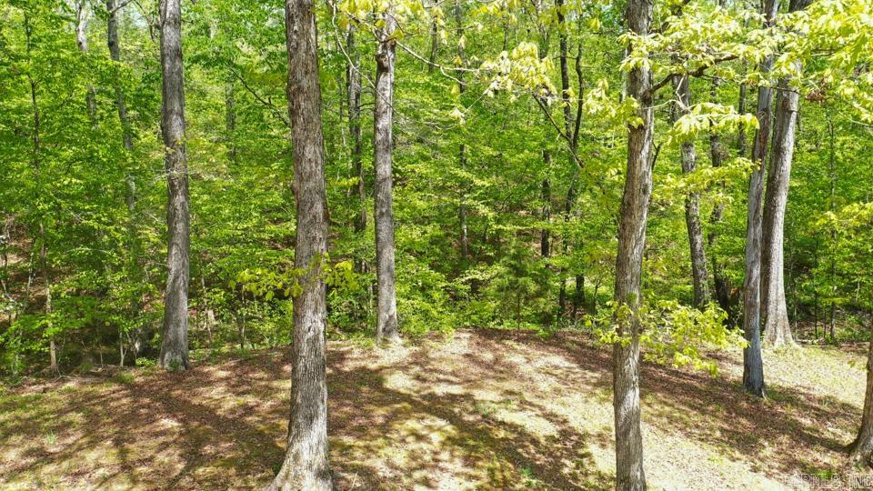 181 Bearce Circle Property Photo 7