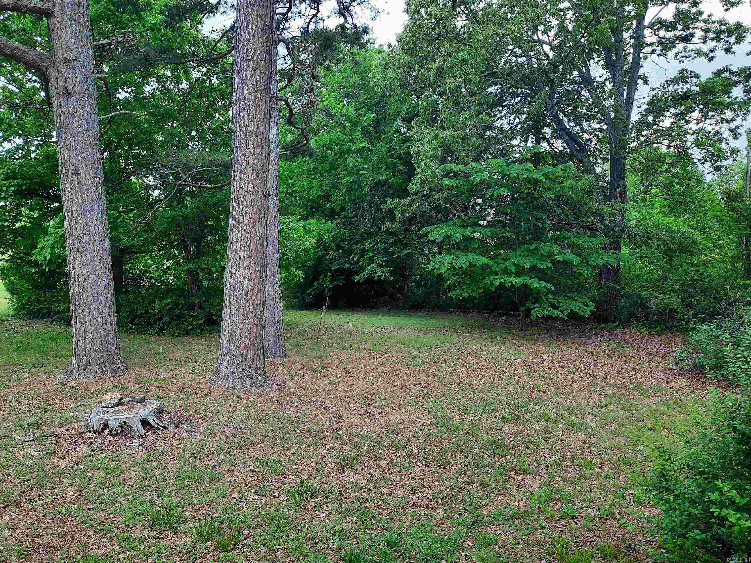 413 Redbud Avenue Property Photo 30