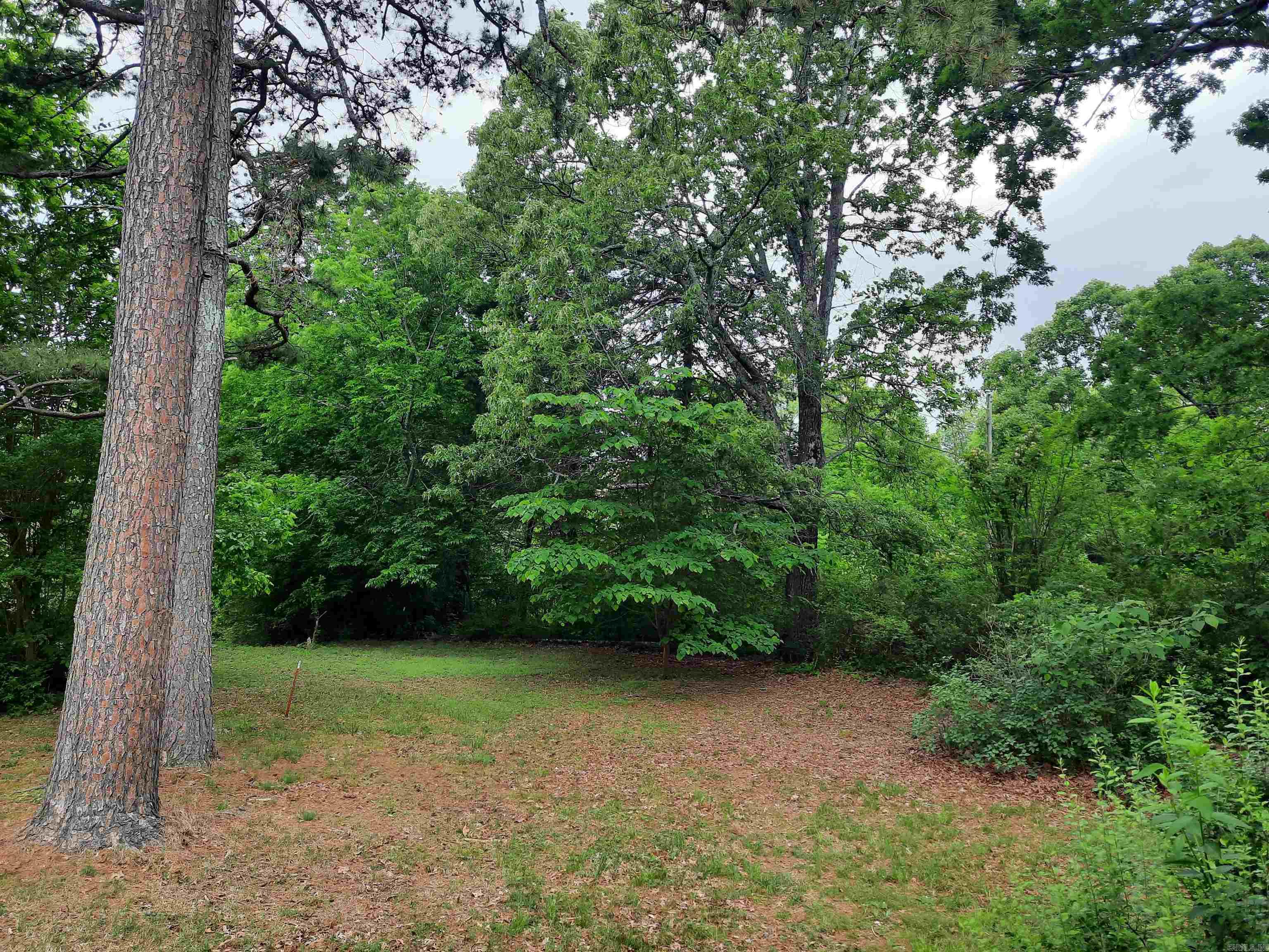 413 Redbud Avenue Property Photo 31