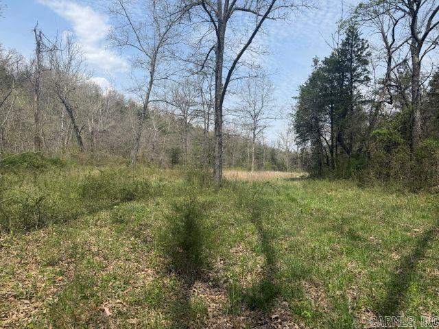 245 Hay Meadow Lane Property Photo 12
