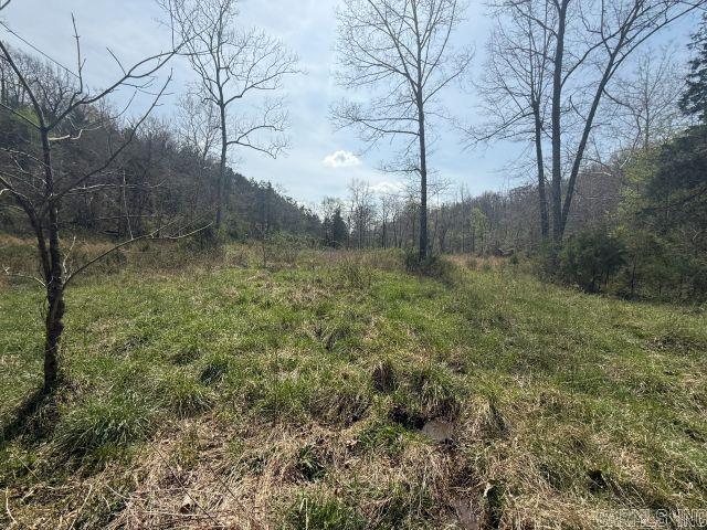 245 Hay Meadow Lane Property Photo 13