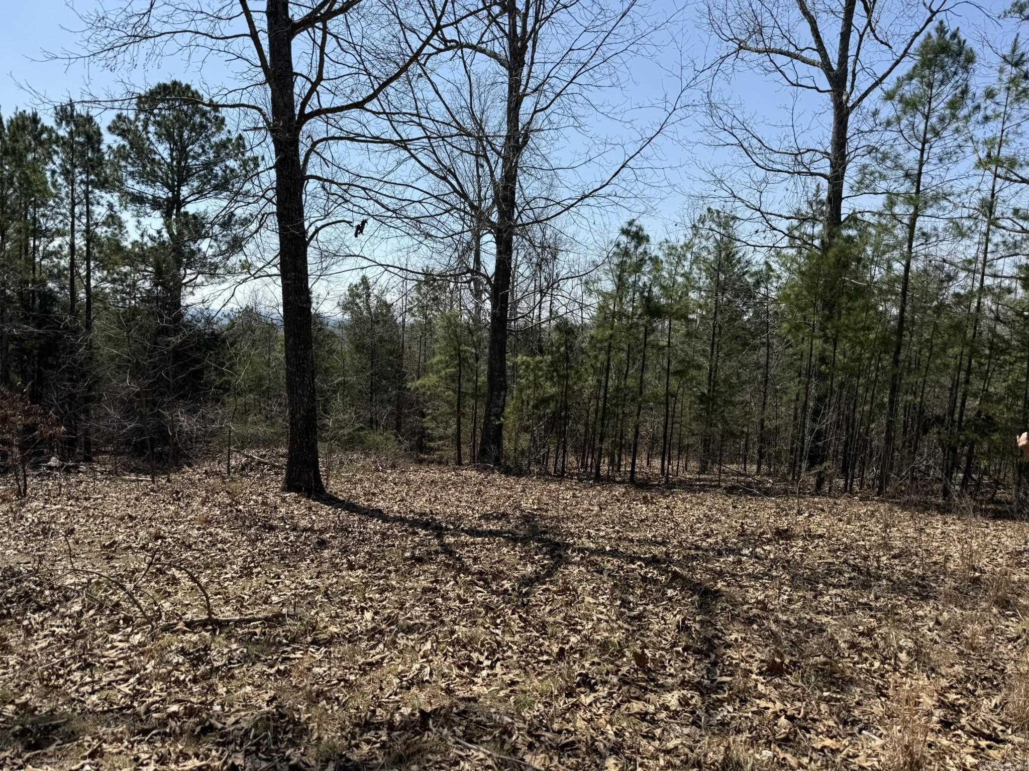 000 Foxcroft Lane Property Photo 3