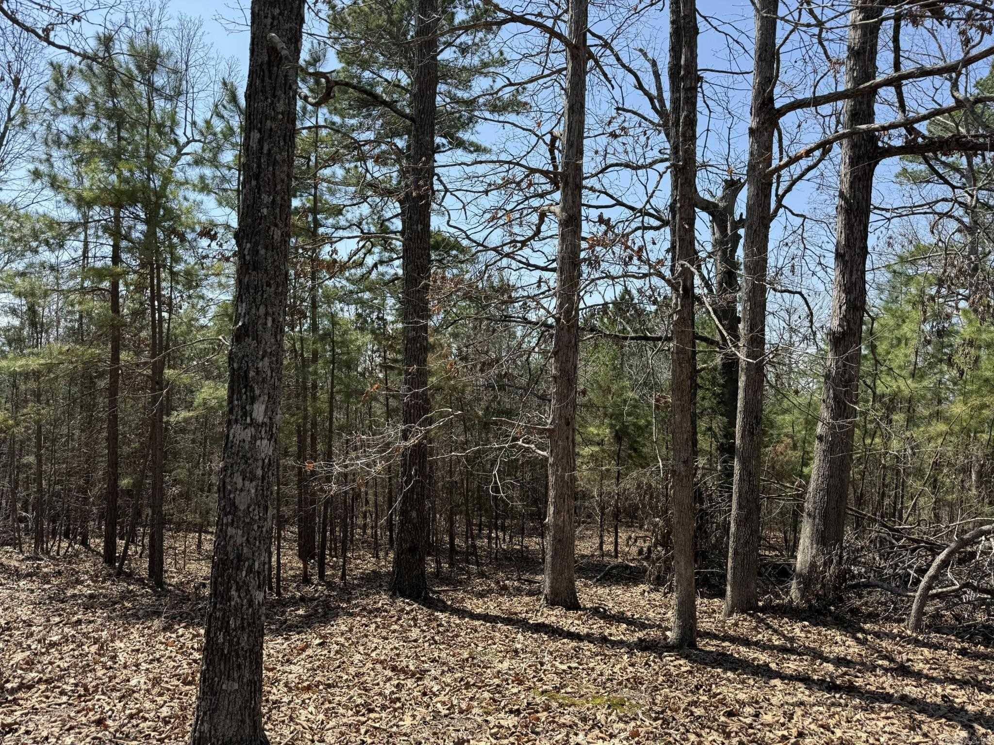 000 Foxcroft Lane Property Photo 10