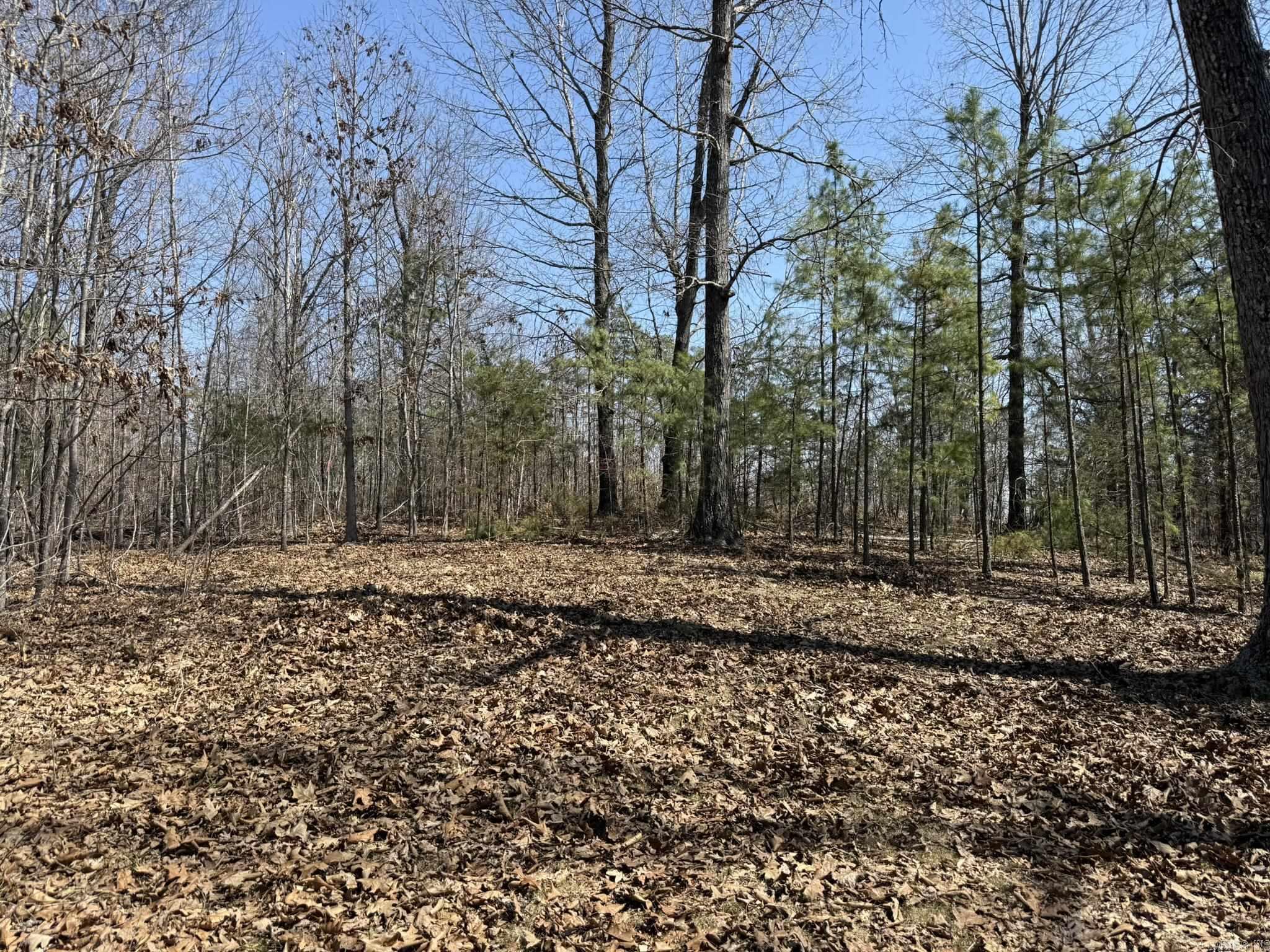 000 Foxcroft Lane Property Photo 12