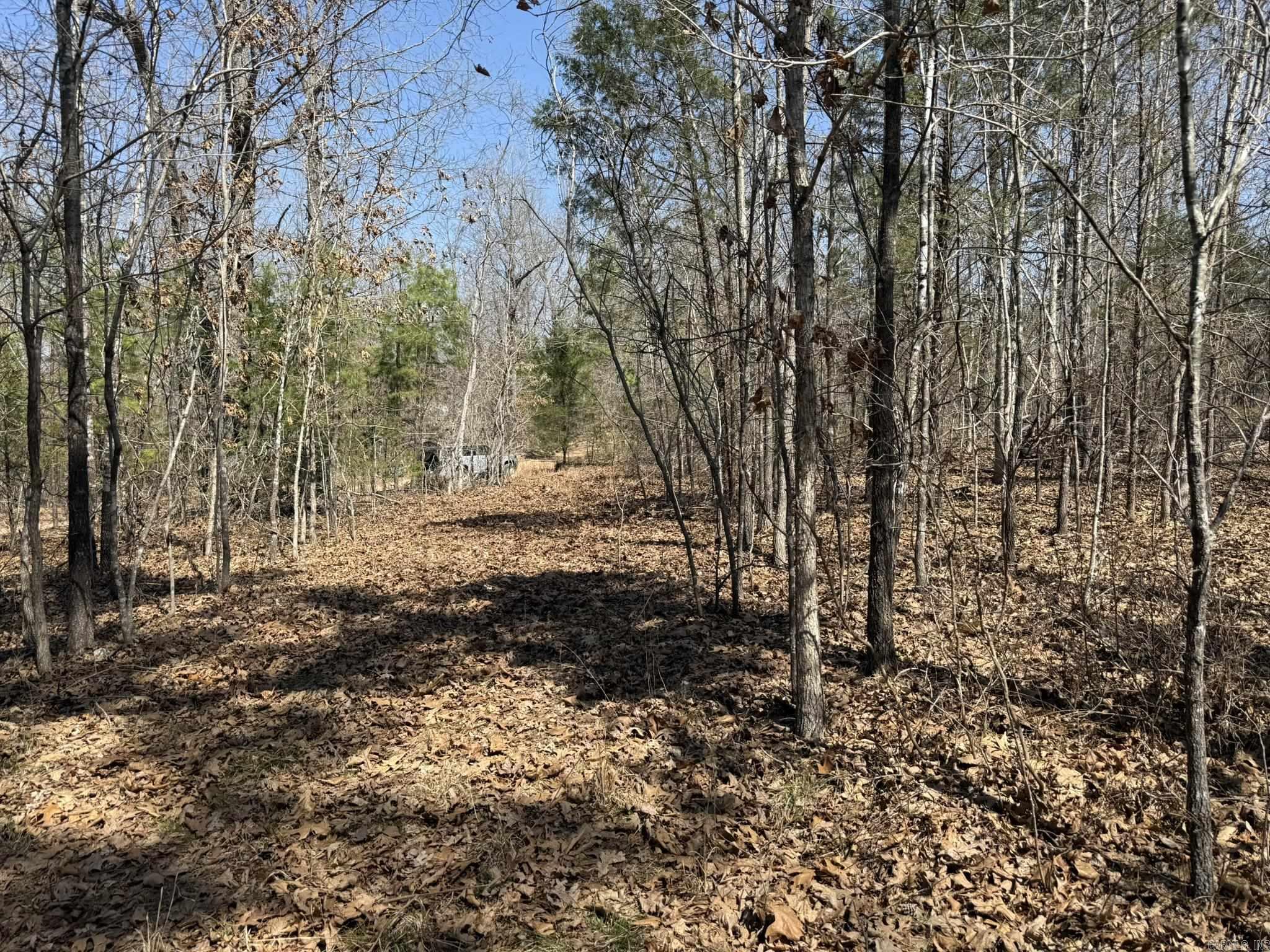 000 Foxcroft Lane Property Photo 14