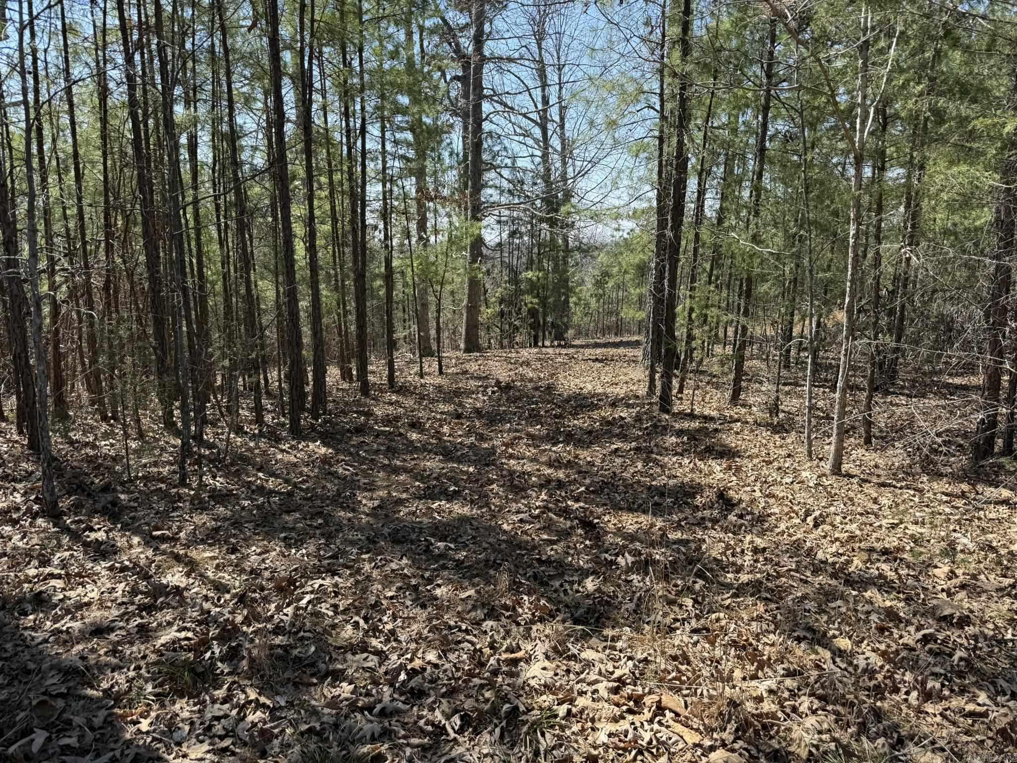 000 Foxcroft Lane Property Photo 15