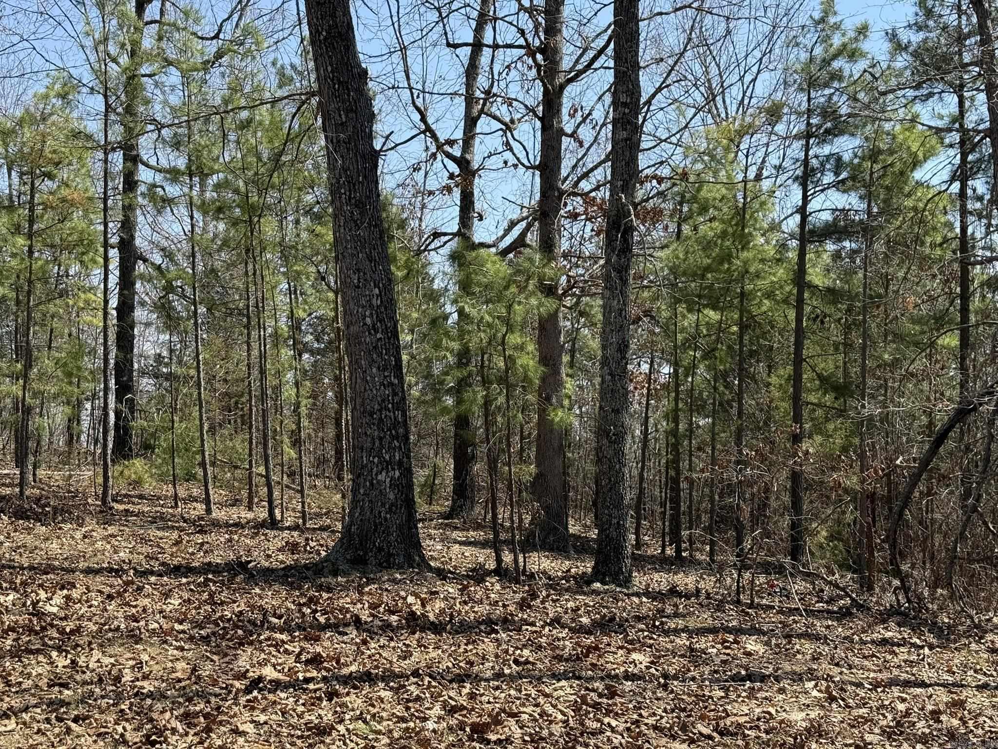 000 Foxcroft Lane Property Photo 17