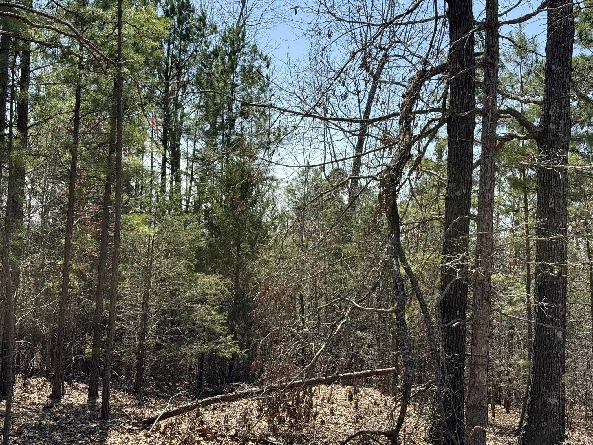 000 Foxcroft Lane Property Photo 19
