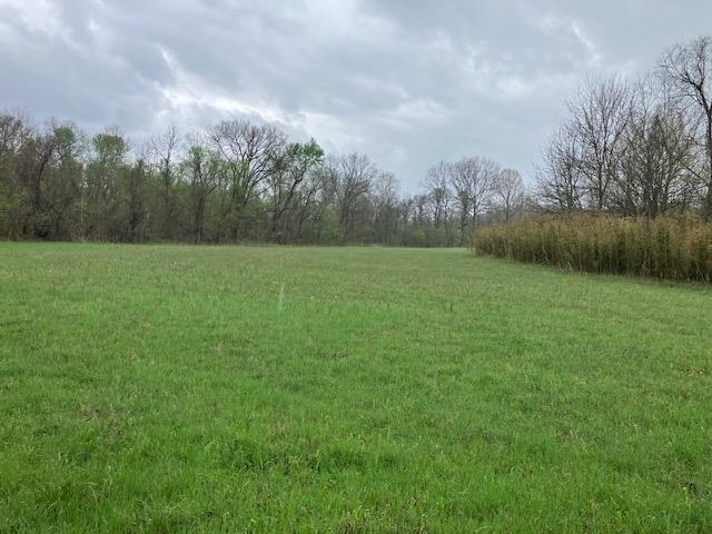 000 Booth Creek Road Property Photo 4