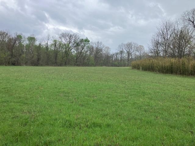 000 Booth Creek Road Property Photo 5