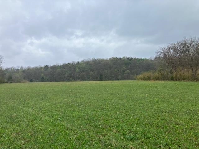 000 Booth Creek Road Property Photo 6