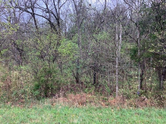000 Booth Creek Road Property Photo 11