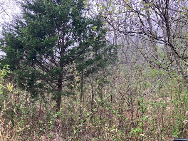 000 Booth Creek Road Property Photo 13
