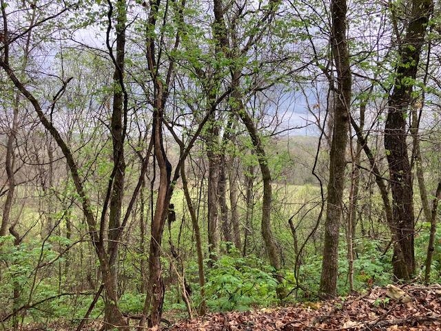 000 Booth Creek Road Property Photo 16