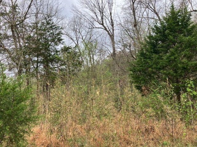 000 Booth Creek Road Property Photo 19
