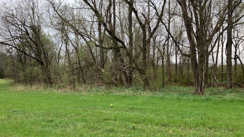 000 Booth Creek Road Property Photo 22