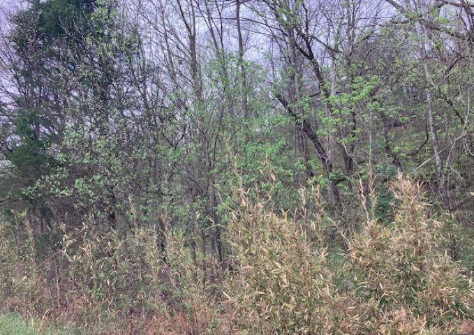 000 Booth Creek Road Property Photo 27
