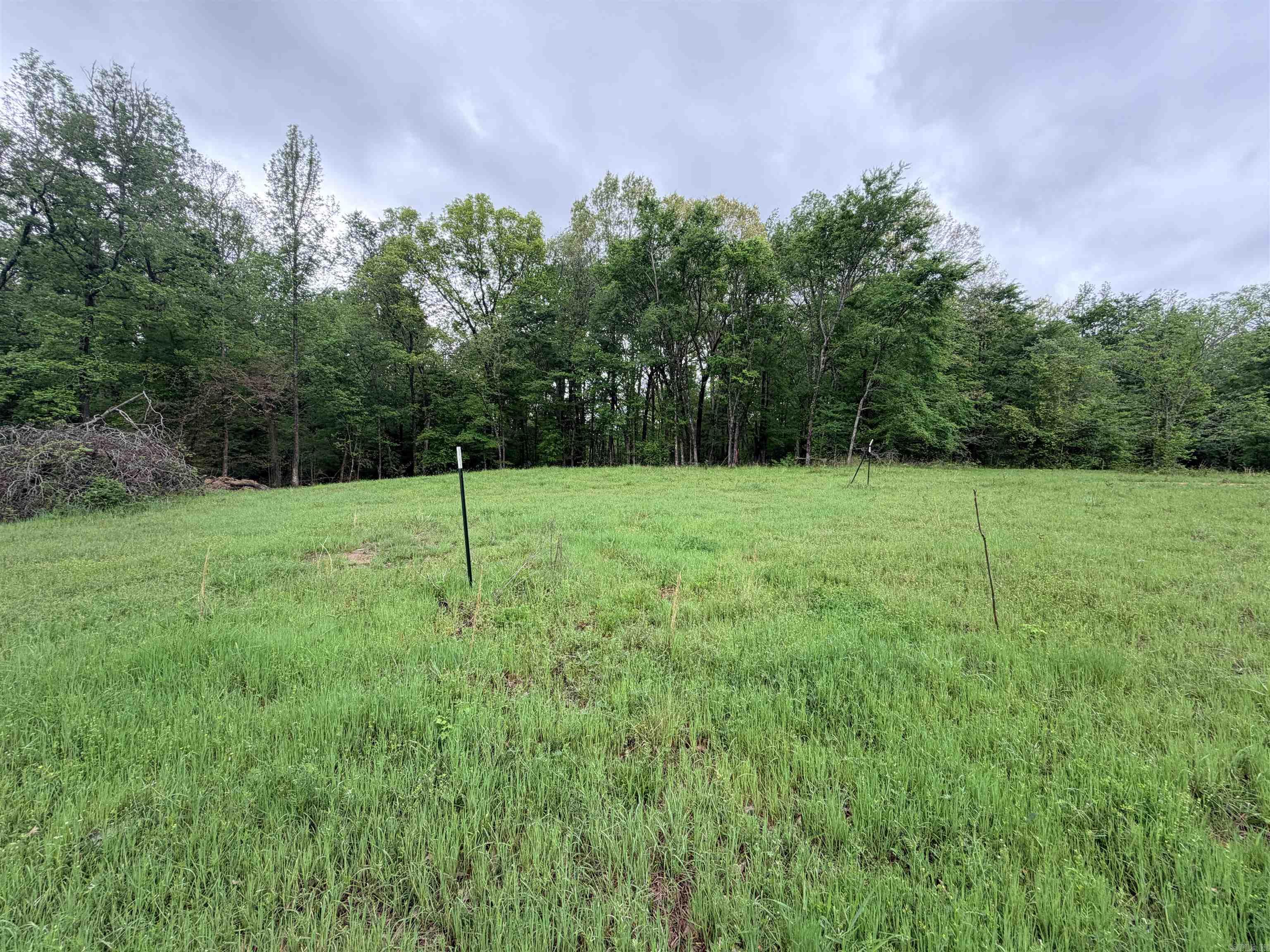 2725 N Highway 51 Highway Property Photo 10