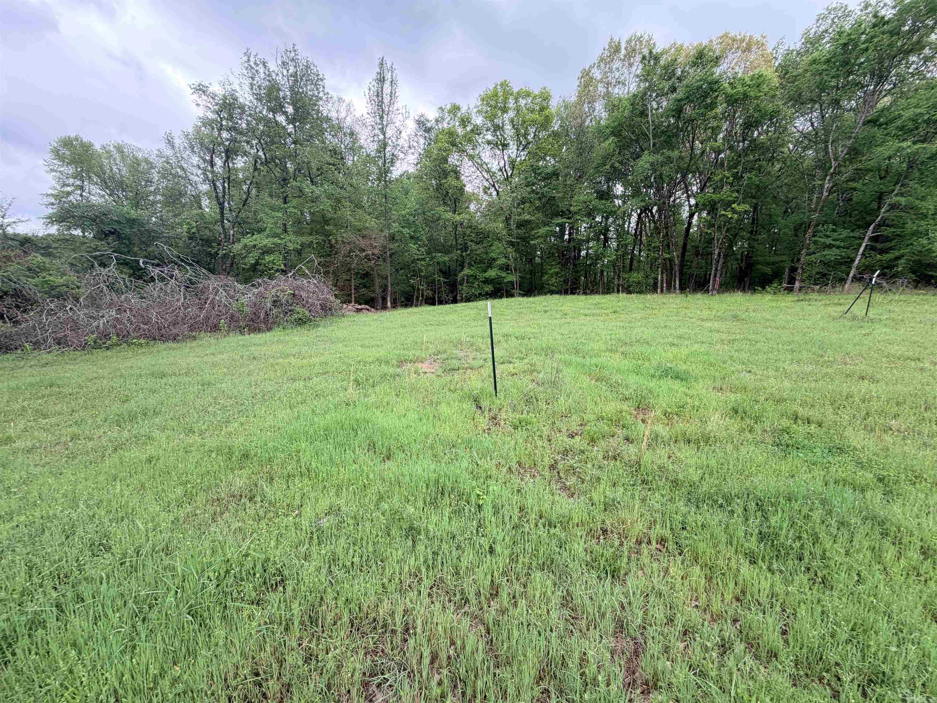 2725 N Highway 51 Highway Property Photo 11