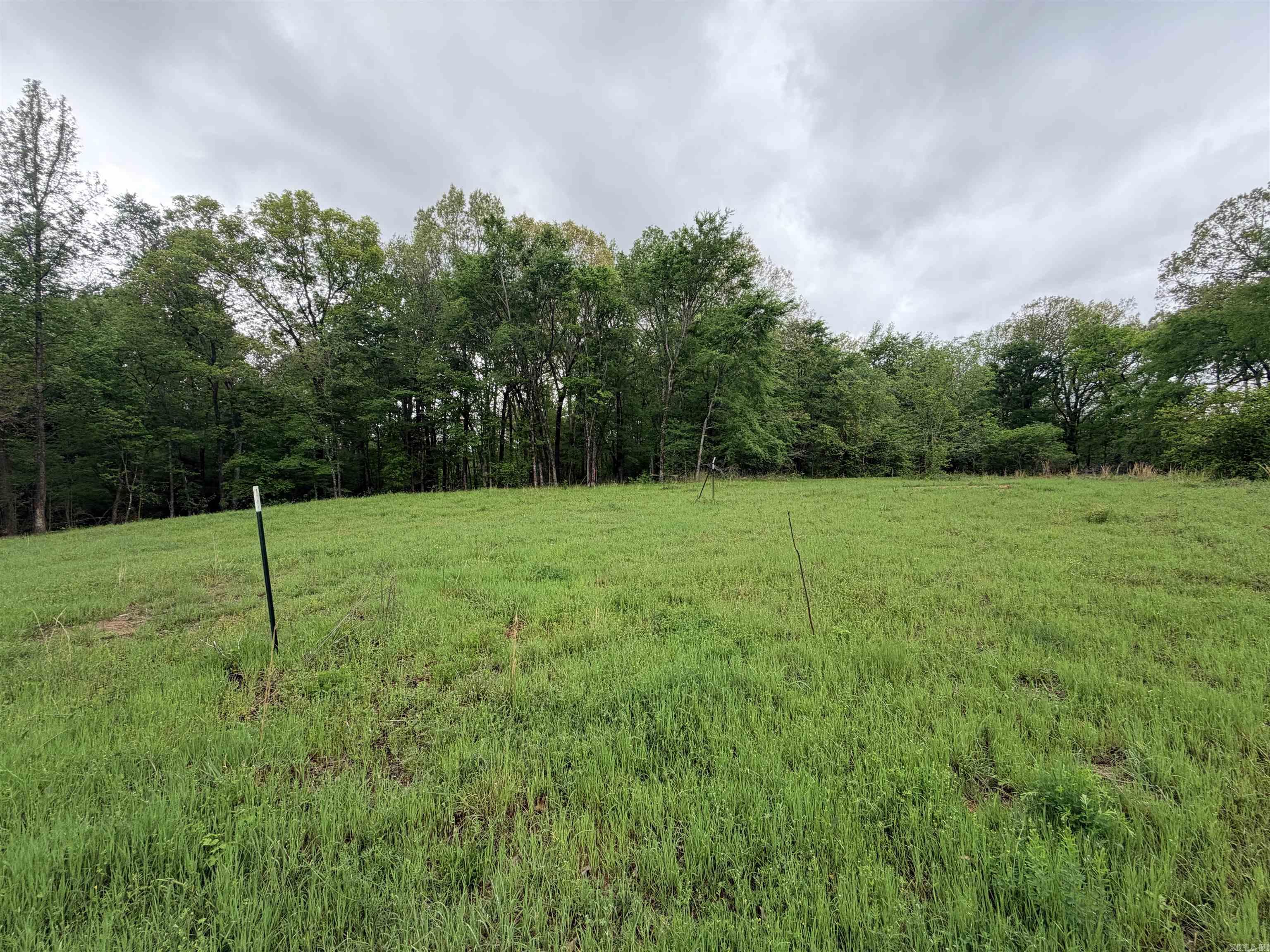 2725 N Highway 51 Highway Property Photo 12