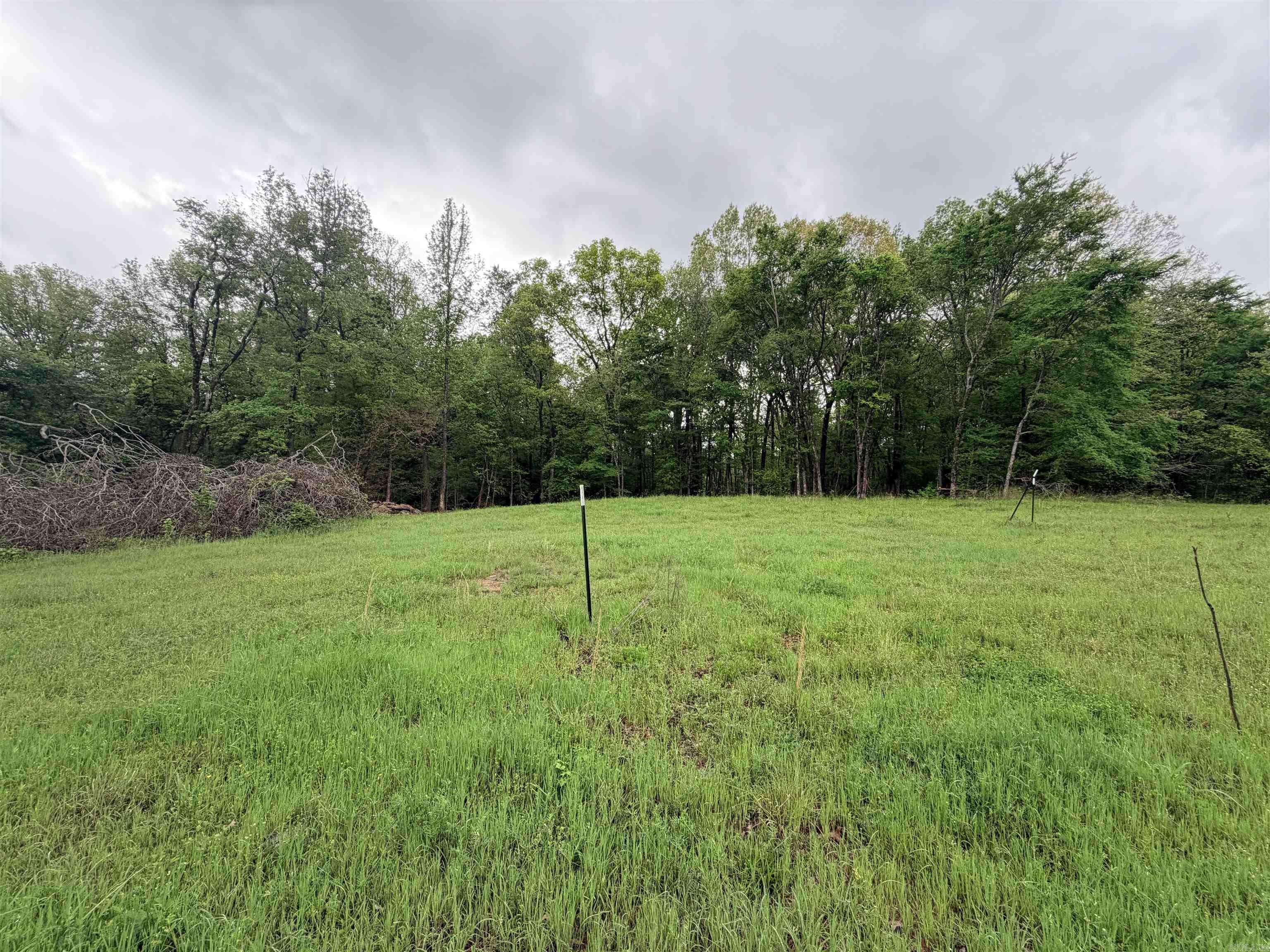 2725 N Highway 51 Highway Property Photo 13