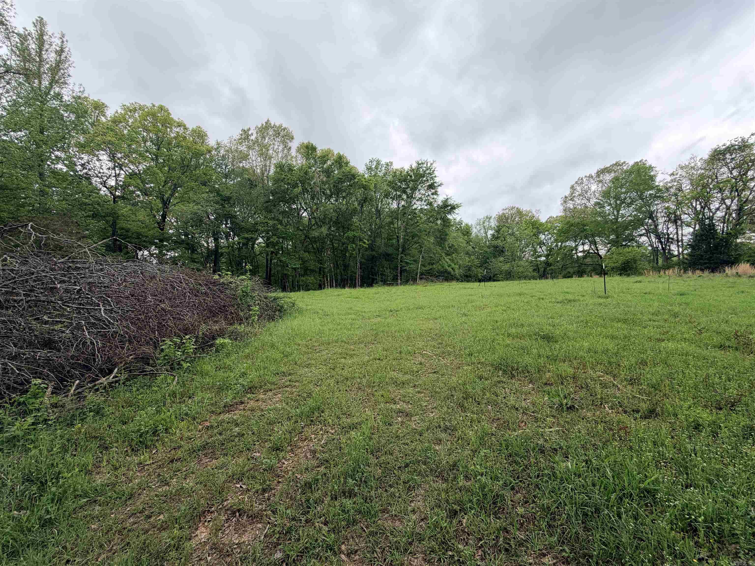 2725 N Highway 51 Highway Property Photo 14
