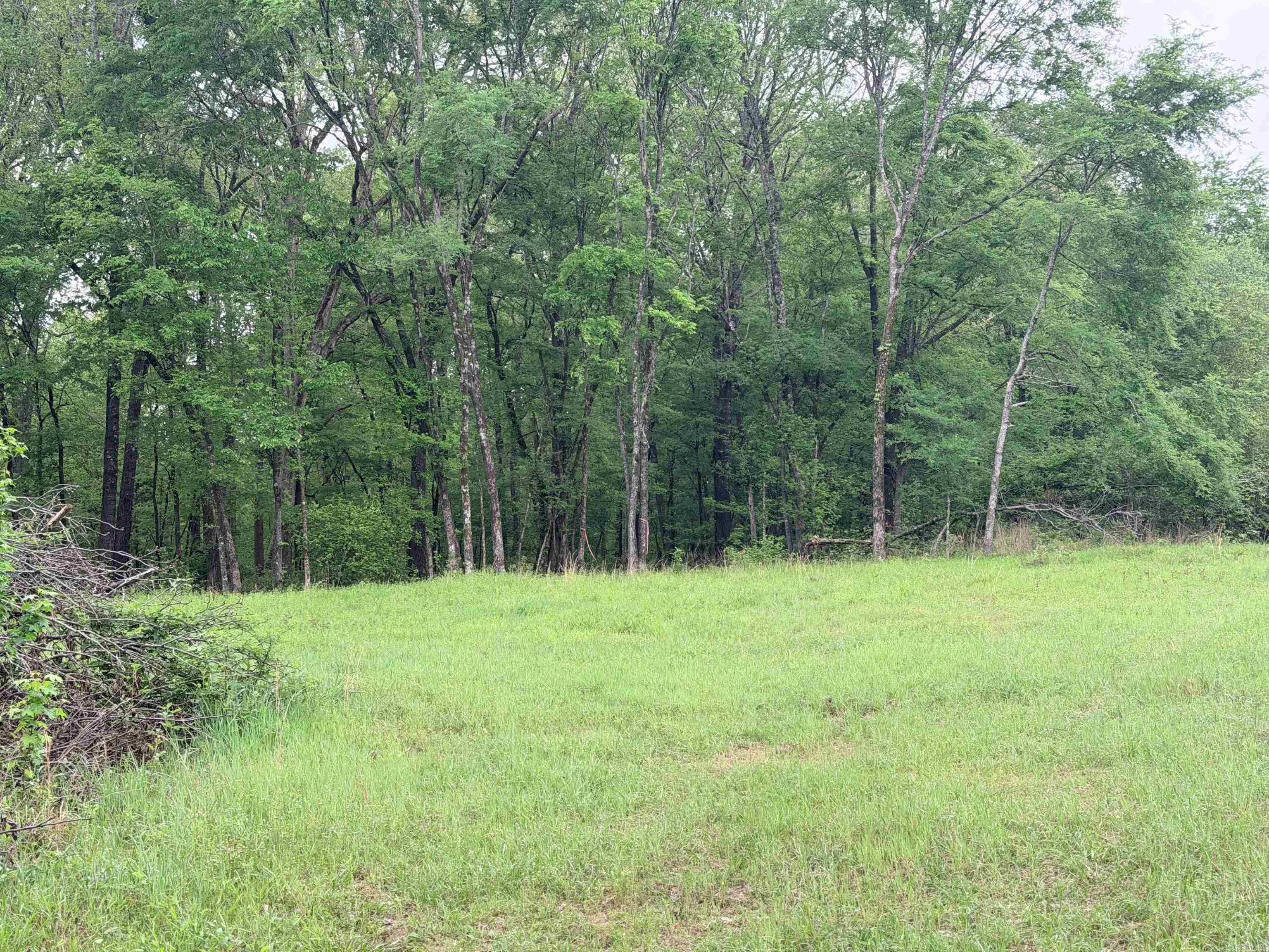2725 N Highway 51 Highway Property Photo 15