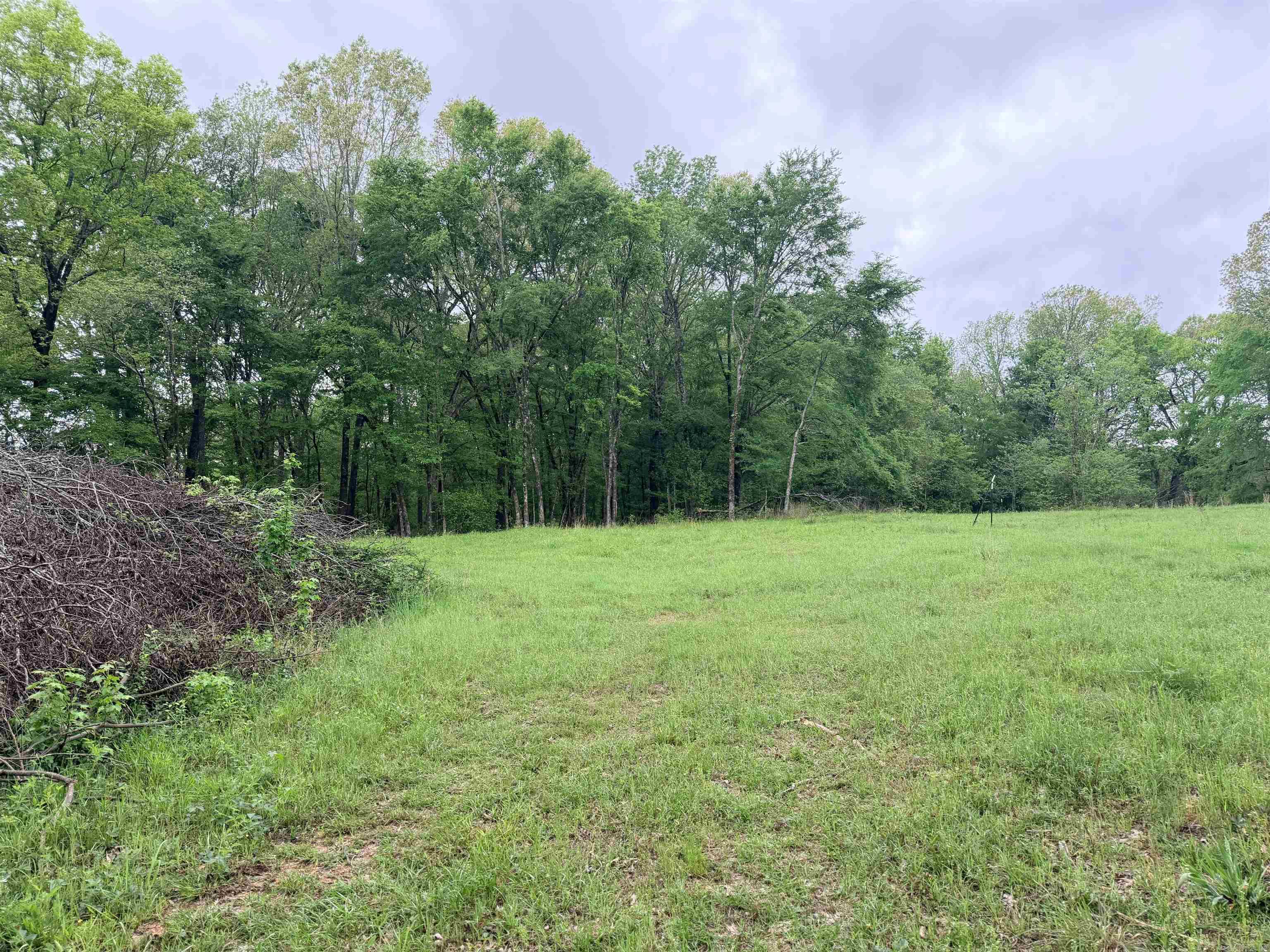 2725 N Highway 51 Highway Property Photo 16