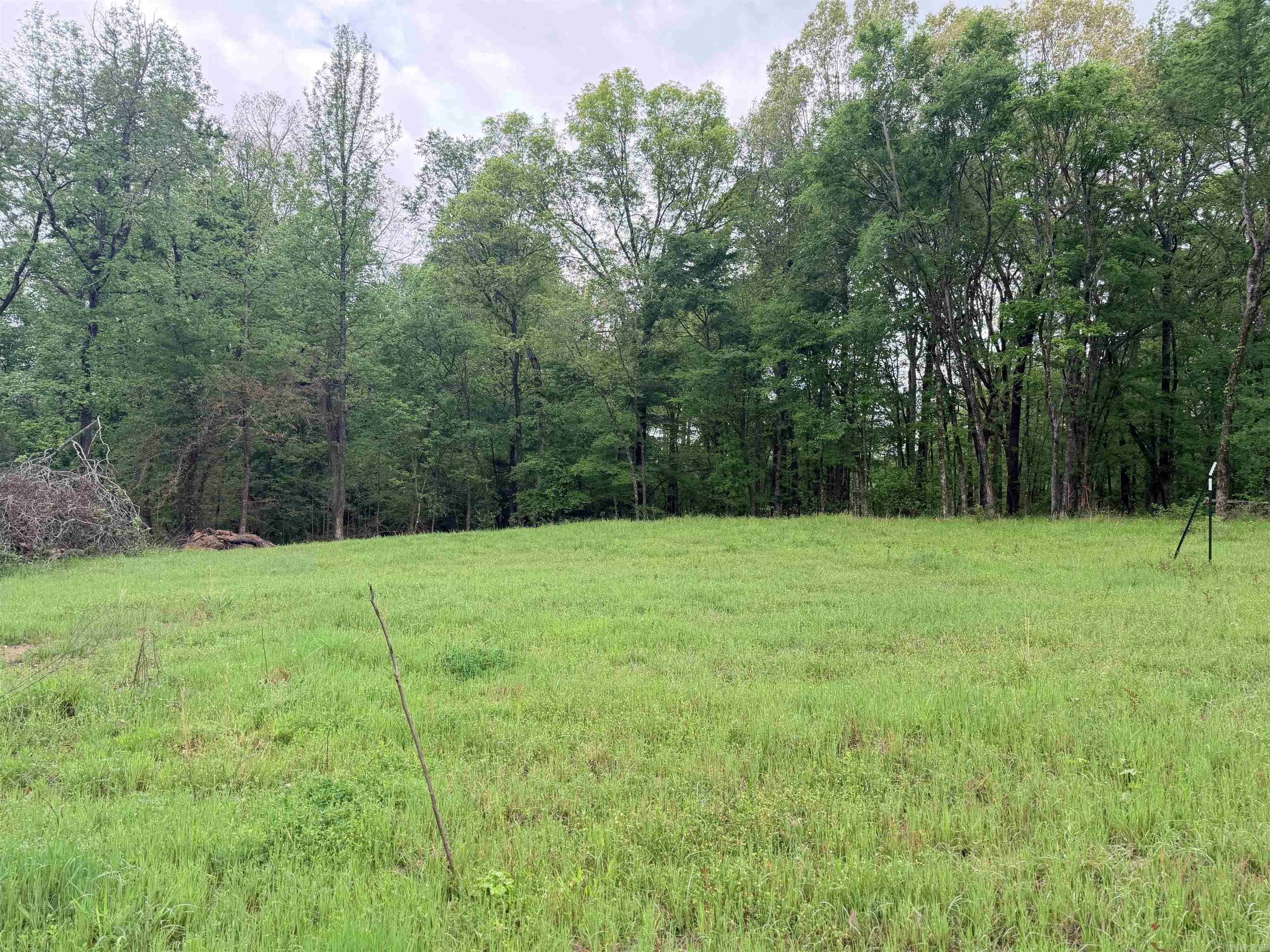 2725 N Highway 51 Highway Property Photo 17