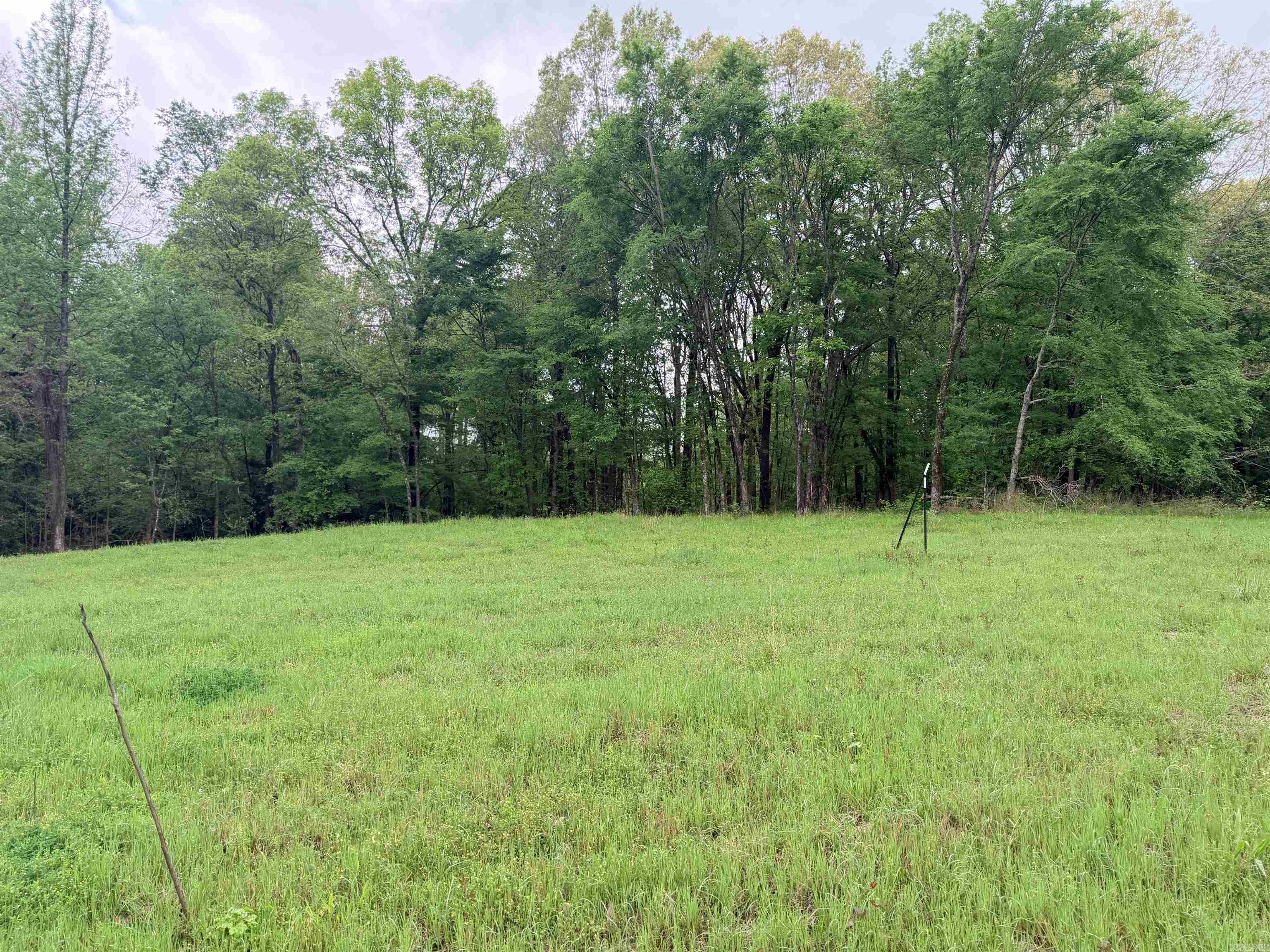 2725 N Highway 51 Highway Property Photo 18