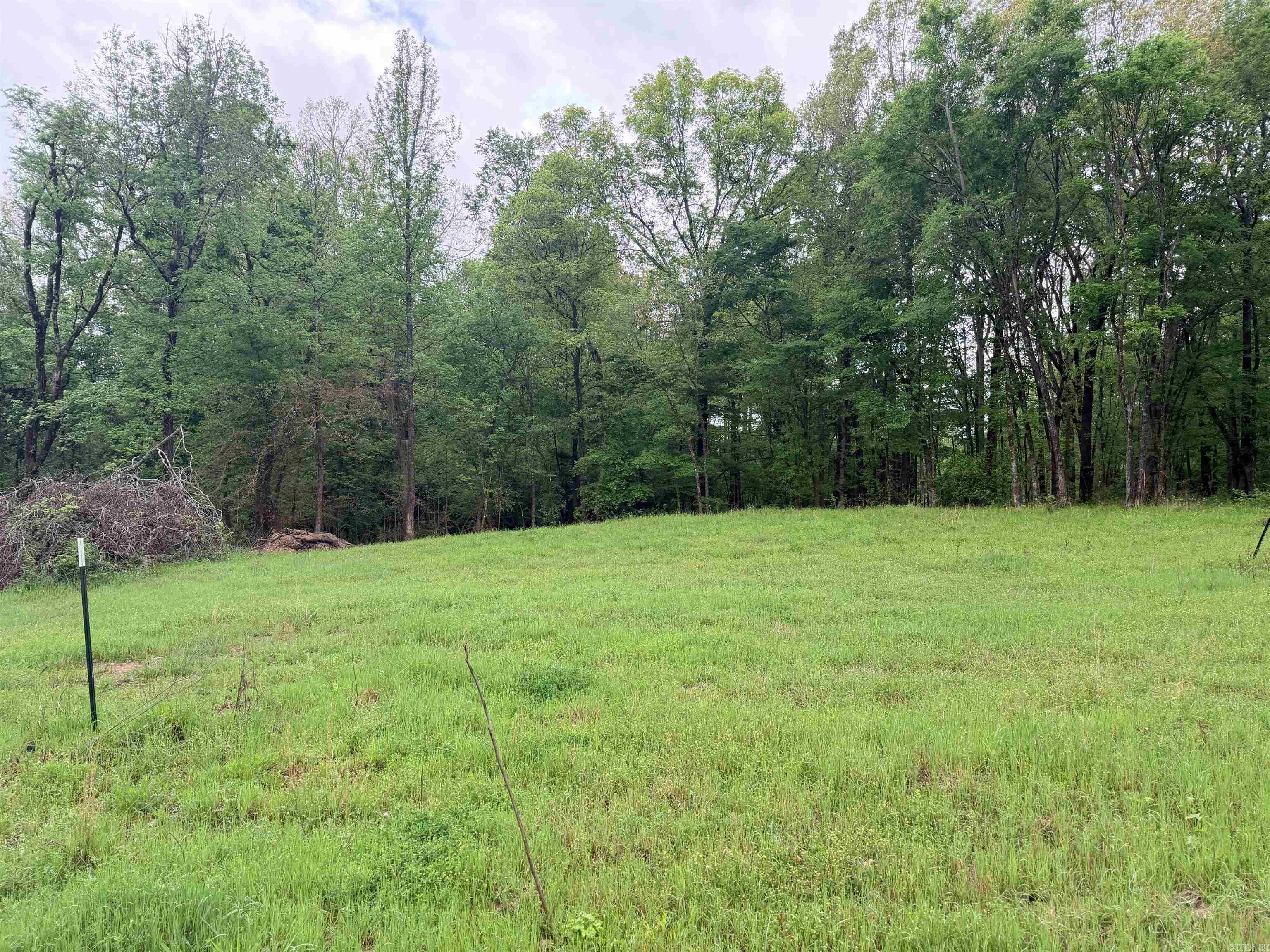 2725 N Highway 51 Highway Property Photo 19