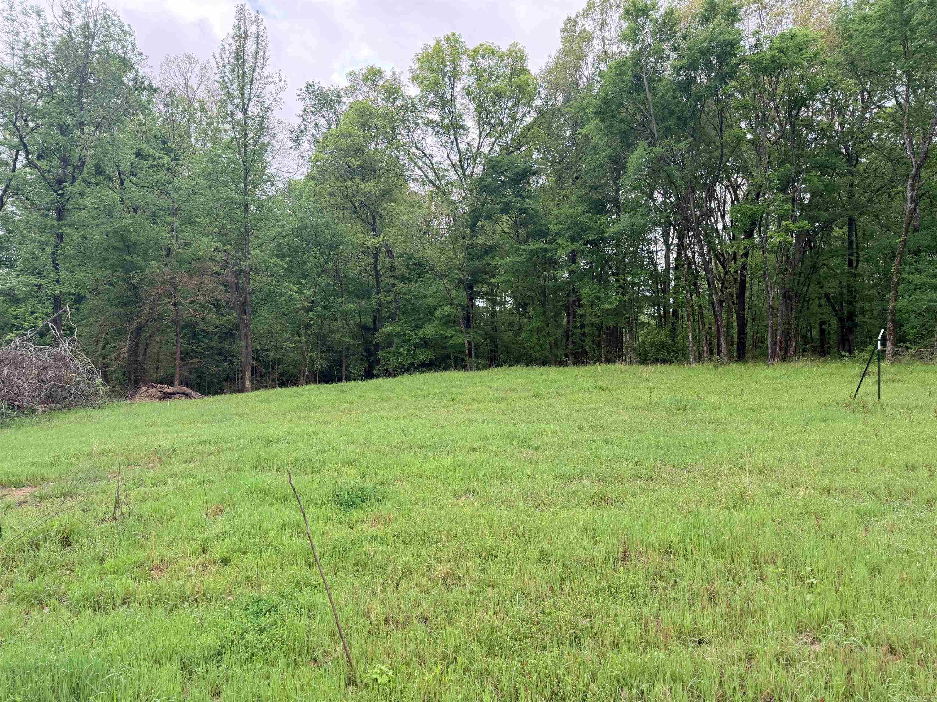 2725 N Highway 51 Highway Property Photo 20
