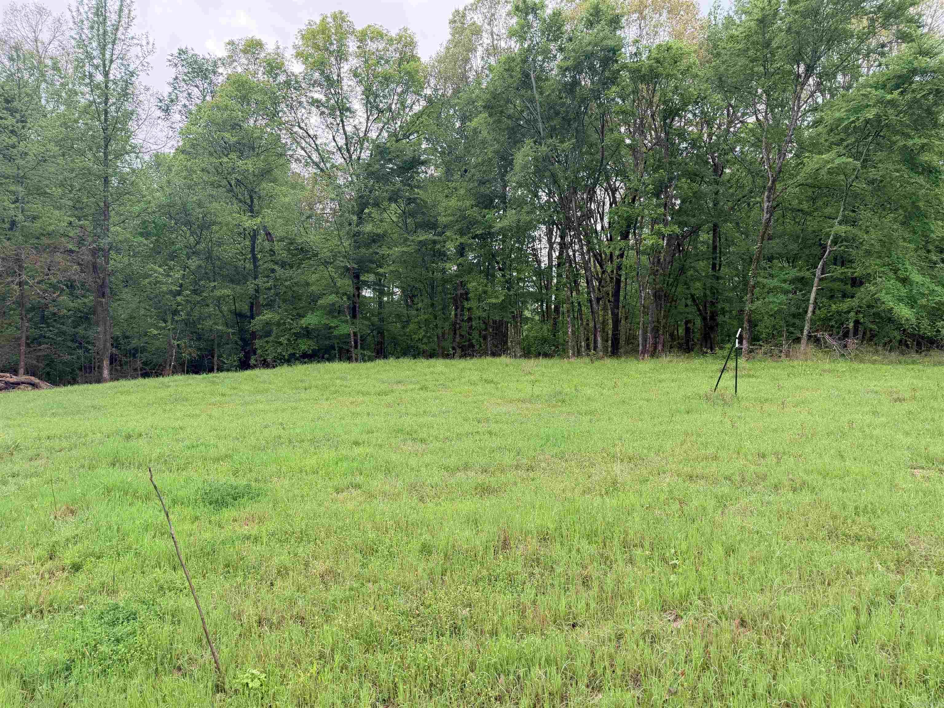 2725 N Highway 51 Highway Property Photo 21