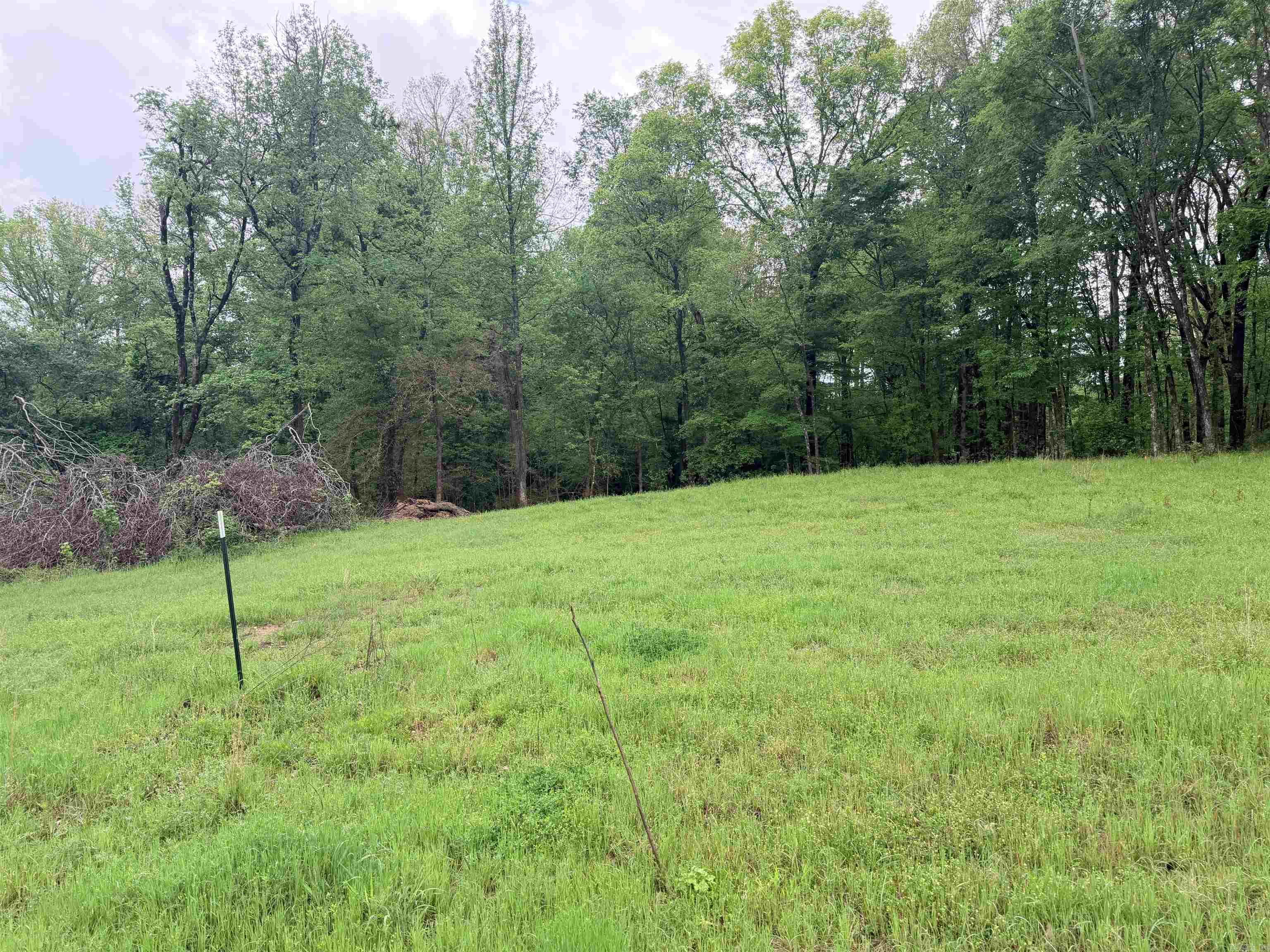 2725 N Highway 51 Highway Property Photo 22