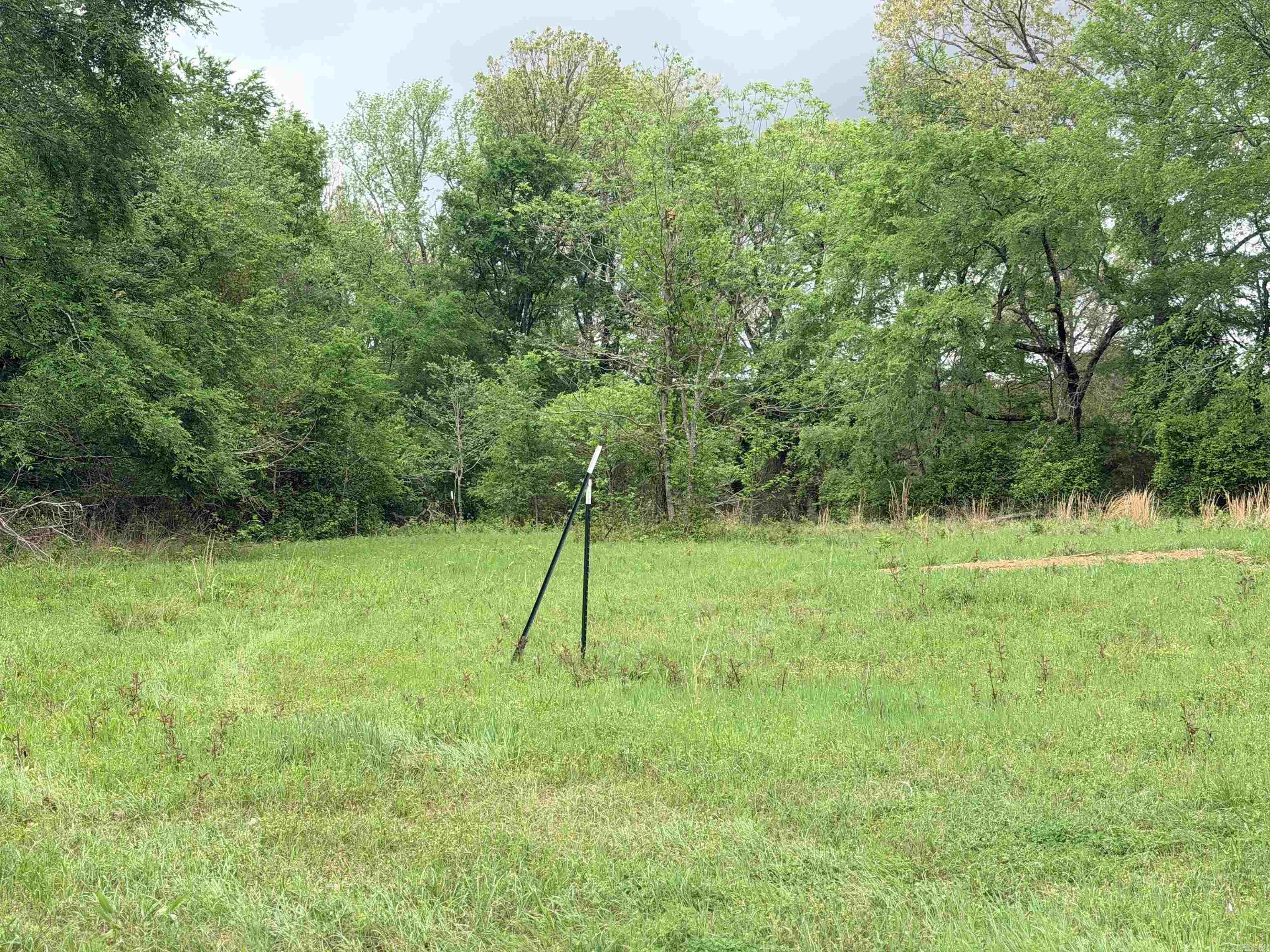2725 N Highway 51 Highway Property Photo 24