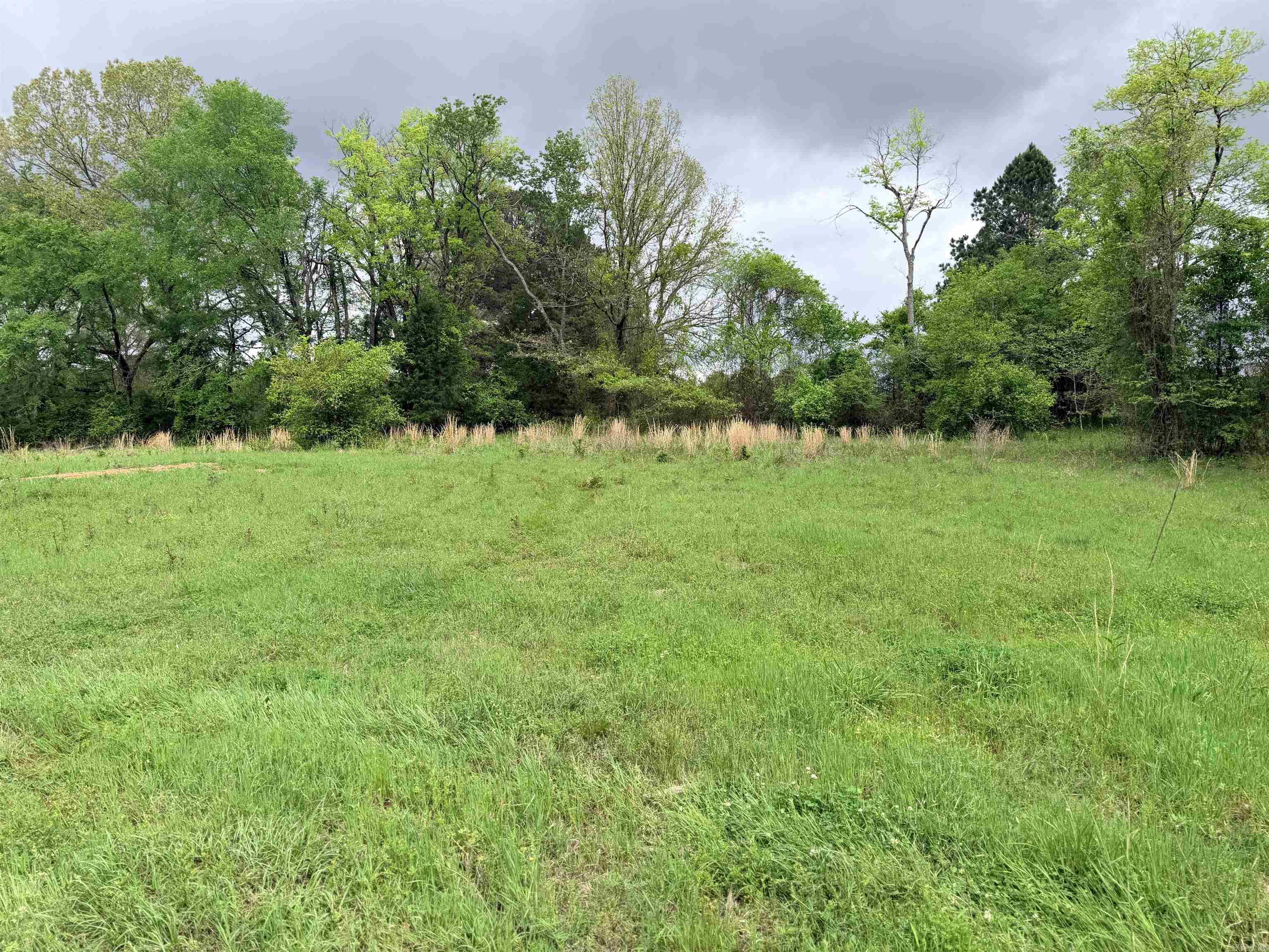 2725 N Highway 51 Highway Property Photo 25