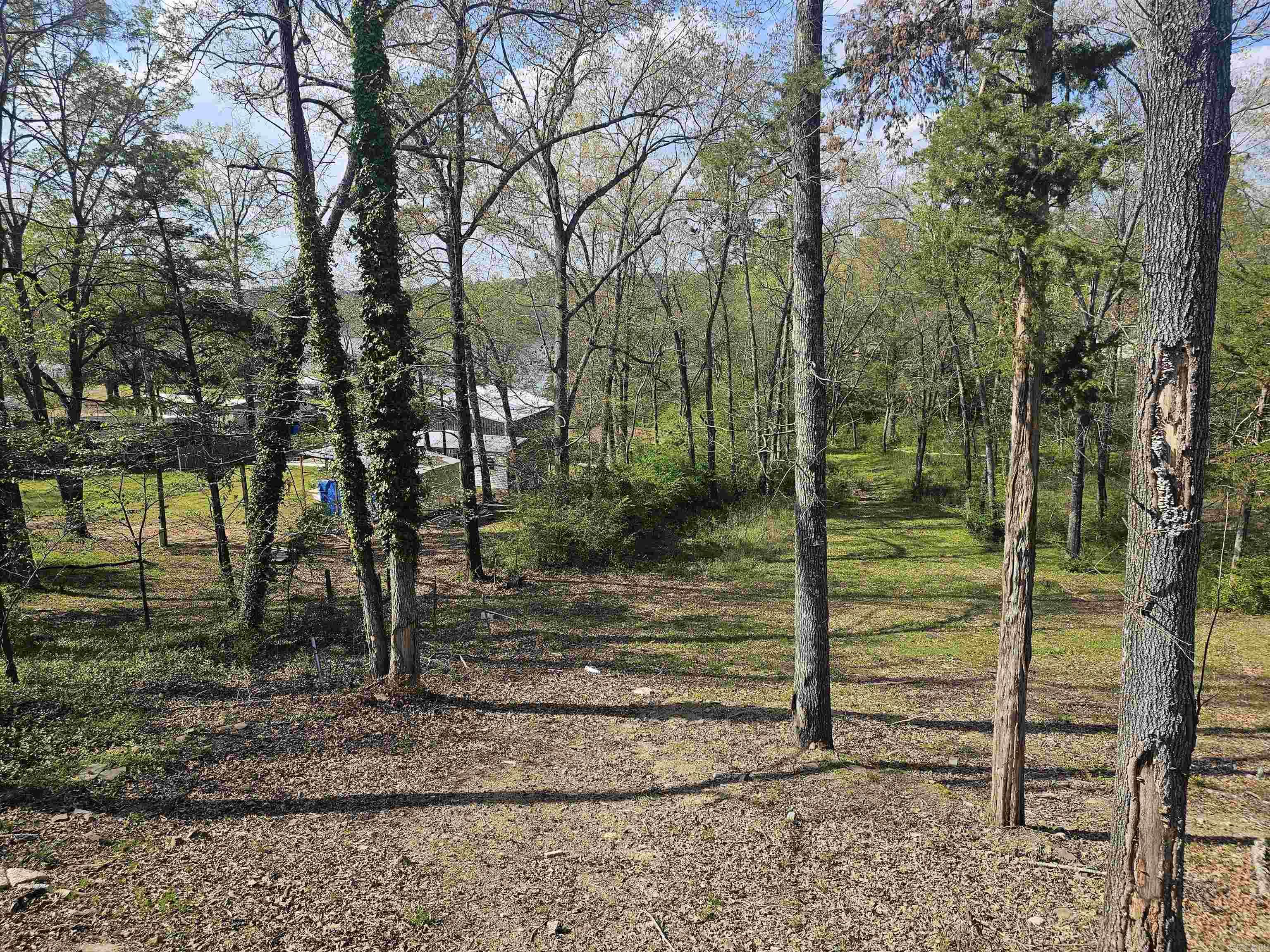 4005 Highway 70 Property Photo 9