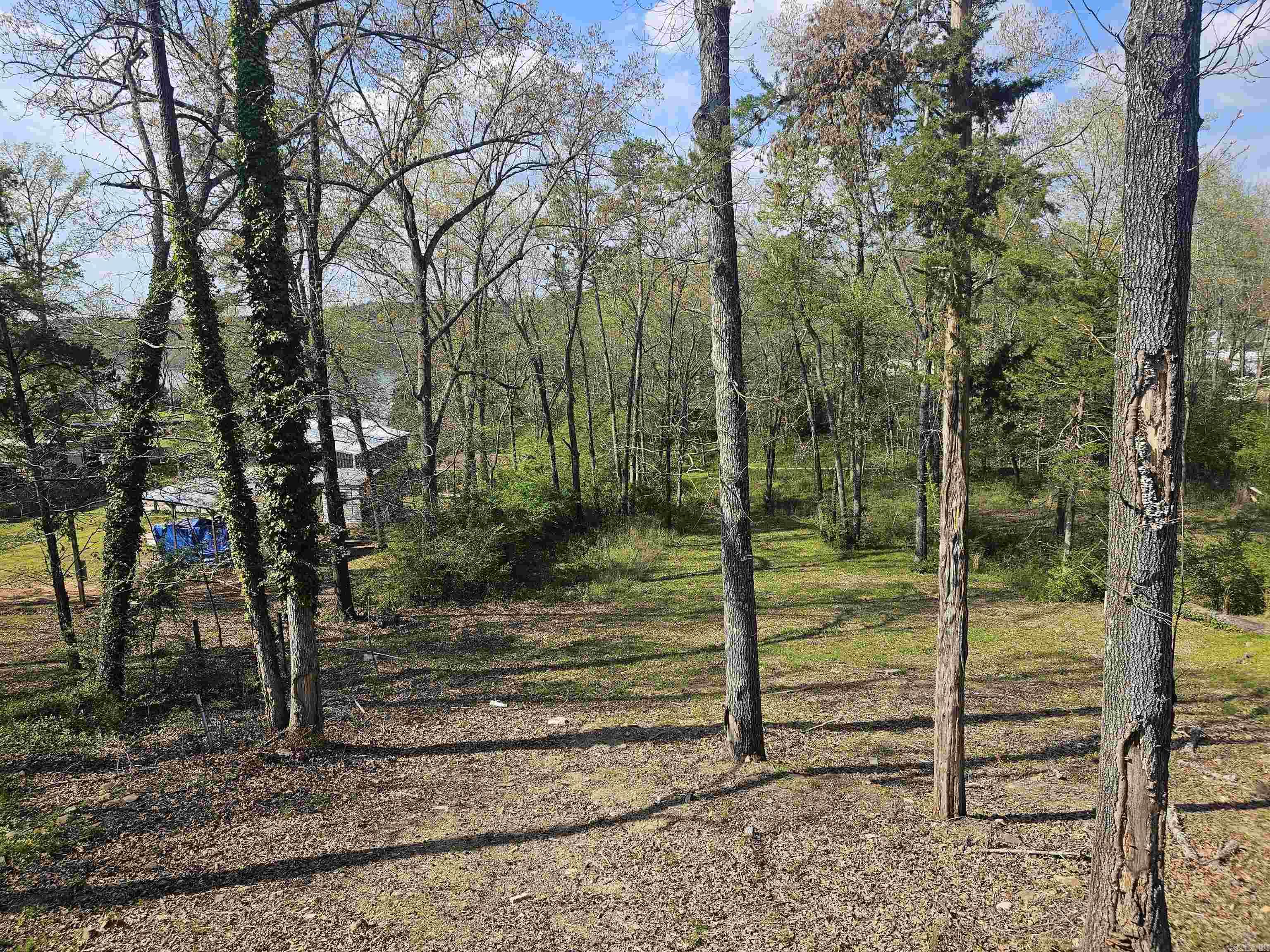 4005 Highway 70 Property Photo 10