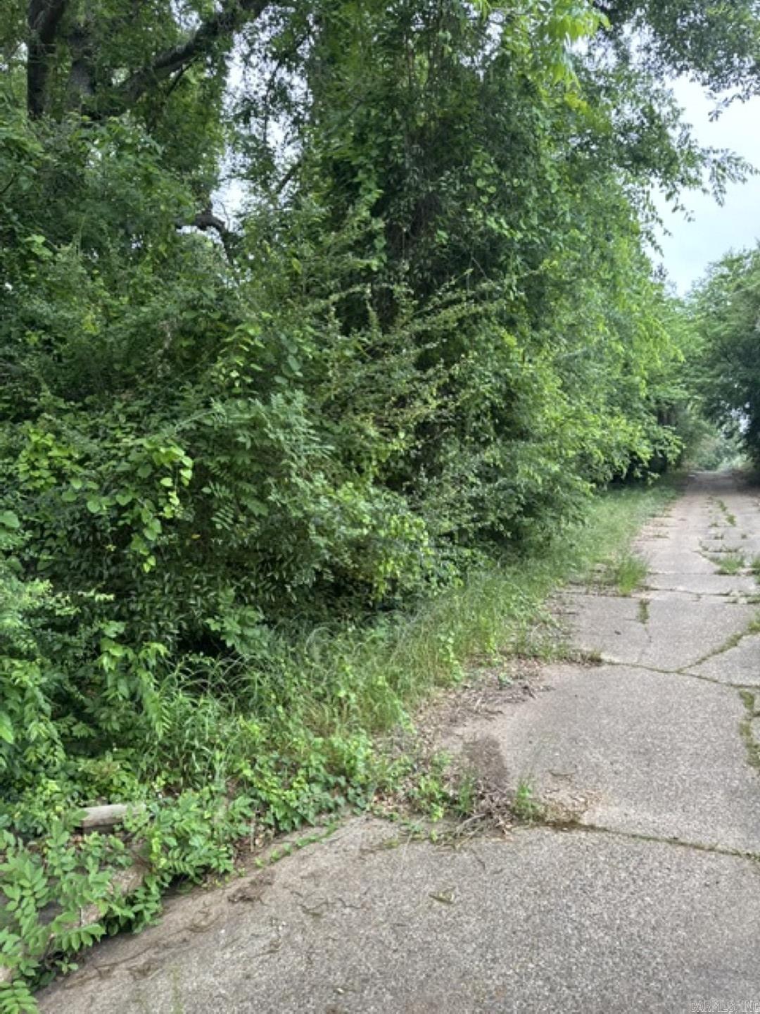 7 Lots On Ouachita Property Photo 1